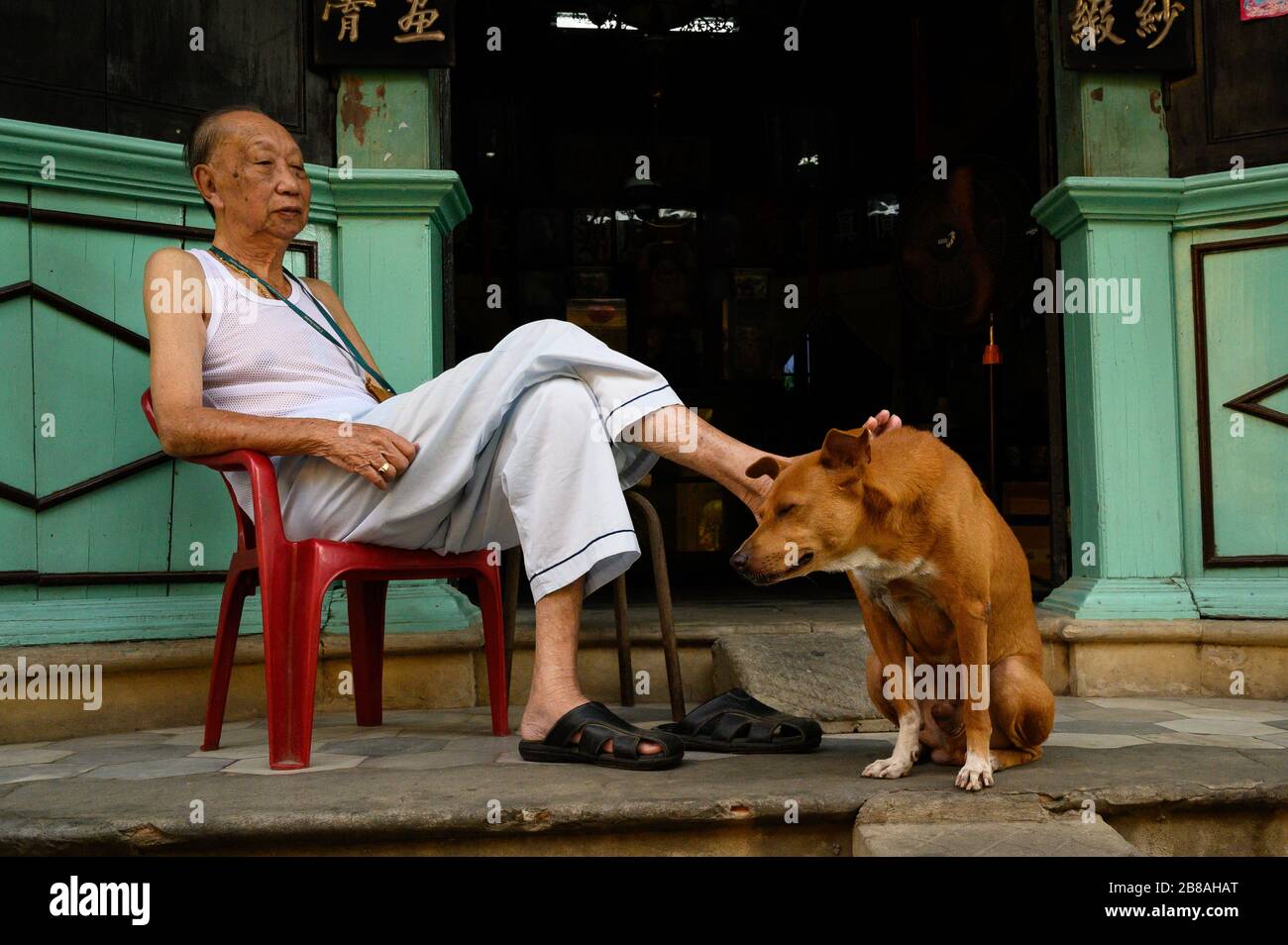 Uomo cinese-vietnamita seduto con il suo cane di fronte al suo negozio, Hoi An, Vietnam Foto Stock