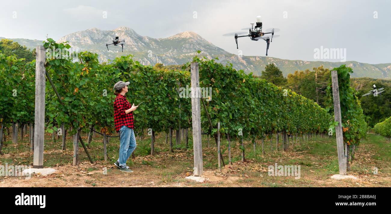 Donna coltivatore controlla drone irroratrice con un tablet. Agricoltura intelligente e agricoltura di precisione Foto Stock Donna coltivatore controlla drone irroratrice con un tablet. Agricoltura intelligente e agricoltura di precisione Foto Stock