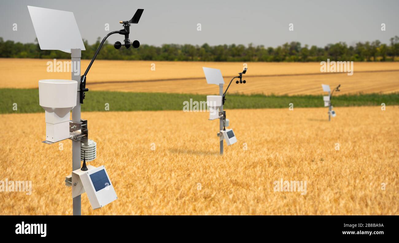 Stazione meteorologica in un campo di grano. Attrezzature agricole di precisione Foto Stock