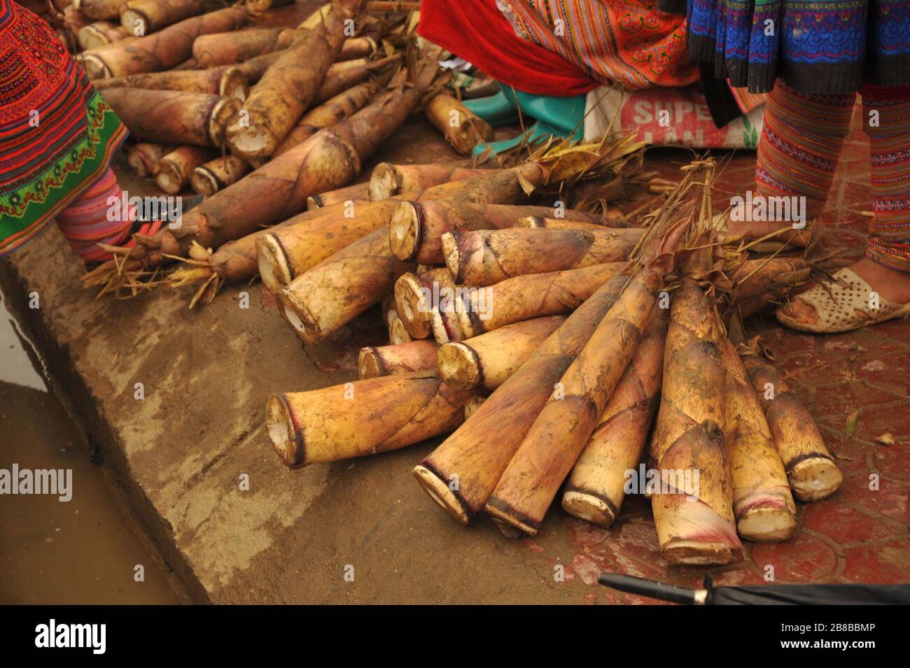 Germogli di bambù al mercato tradizionale in Sapa, Vietnam Foto Stock