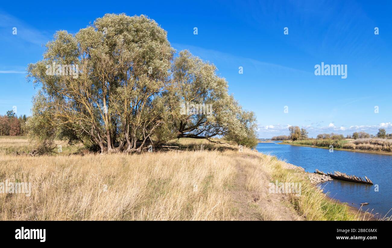 Romantische und natürliche Flusslandschaft im Spätsommer, Biosphärenreservat Niedersächsische Elbtalaue, Norddeutschland. Fiume romantico e naturale Foto Stock