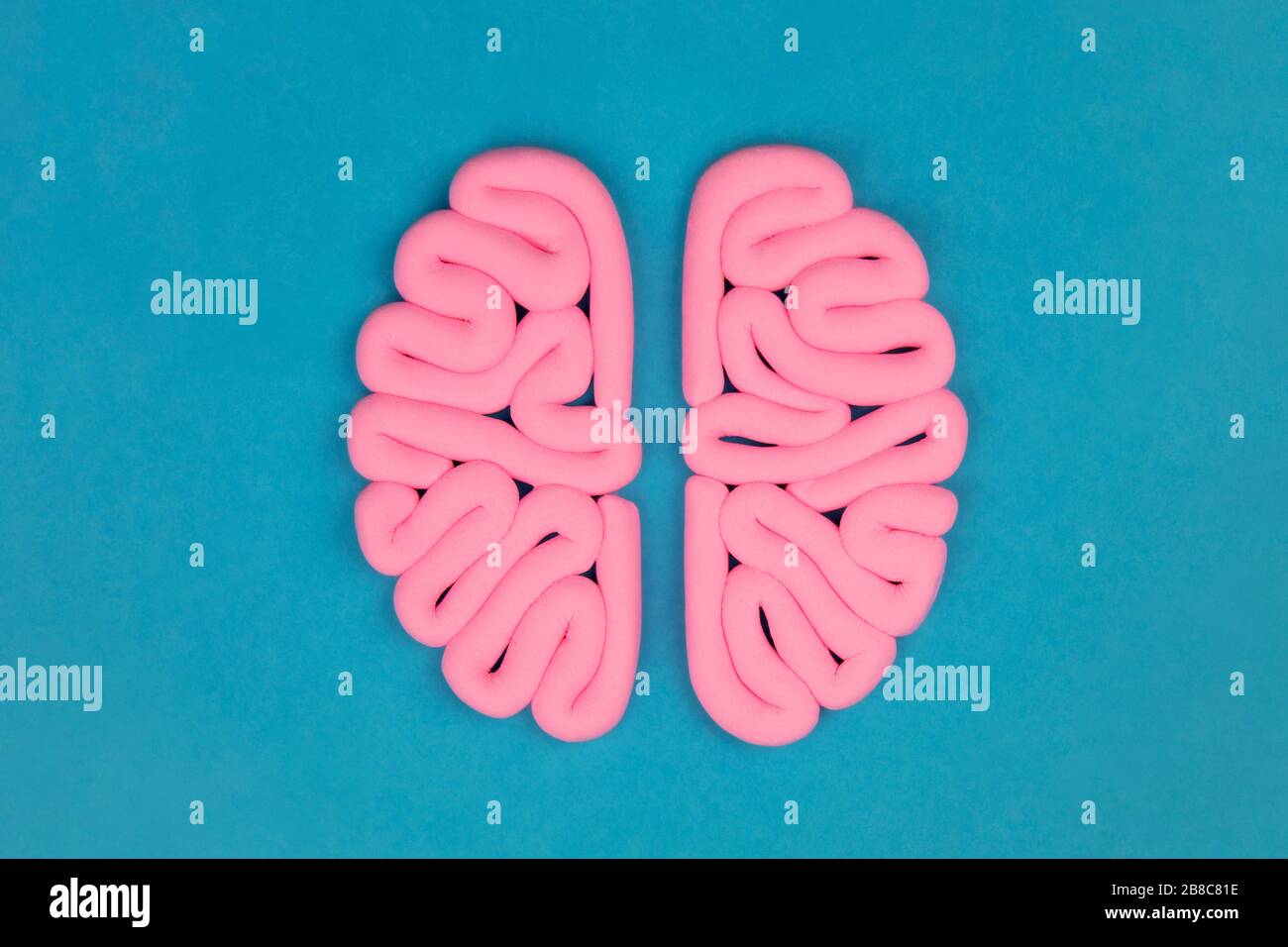 Modello rosa di cervello umano dall'alto su sfondo blu, piatto. Concetto di intelligenza. Emisferi mockup, layout. Foto Stock