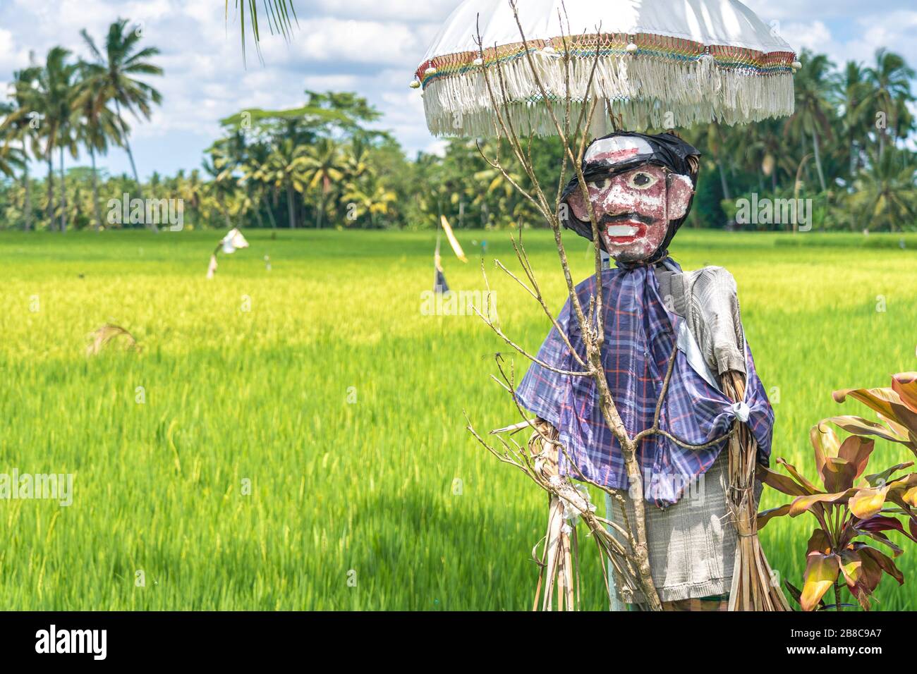 Tradizionale uomo balinese di paglia di falco che custodisce i campi di riso nell'area di Tegallalang a Bali con palme sullo sfondo Foto Stock