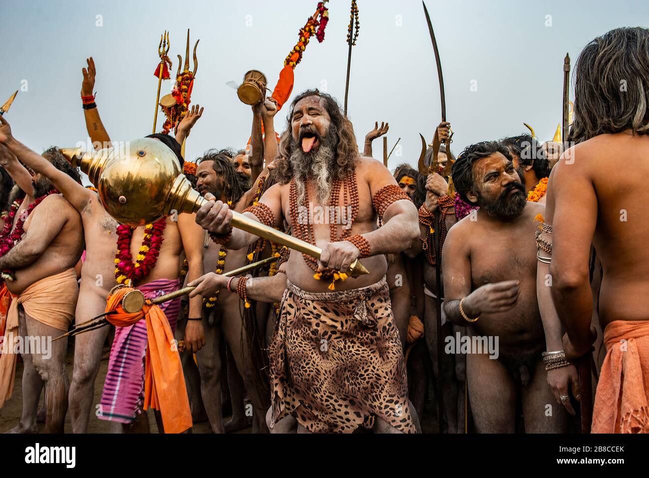 In India, ad Allahabad, la naga sadhu, la più importante nella sfilata gerarchica indù in processione, per immergersi nel Gange. Foto Stock