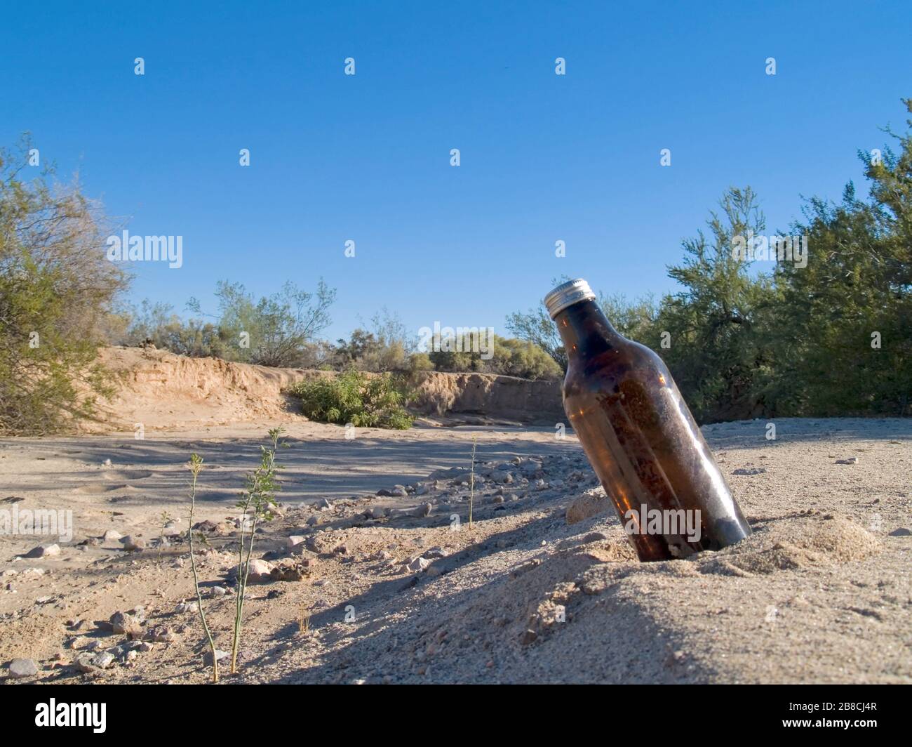 Una bottiglia di birra lasciata dietro su una duna di sabbia in un letto di torrente asciutto in una zona remota dell'Arizona. Foto Stock