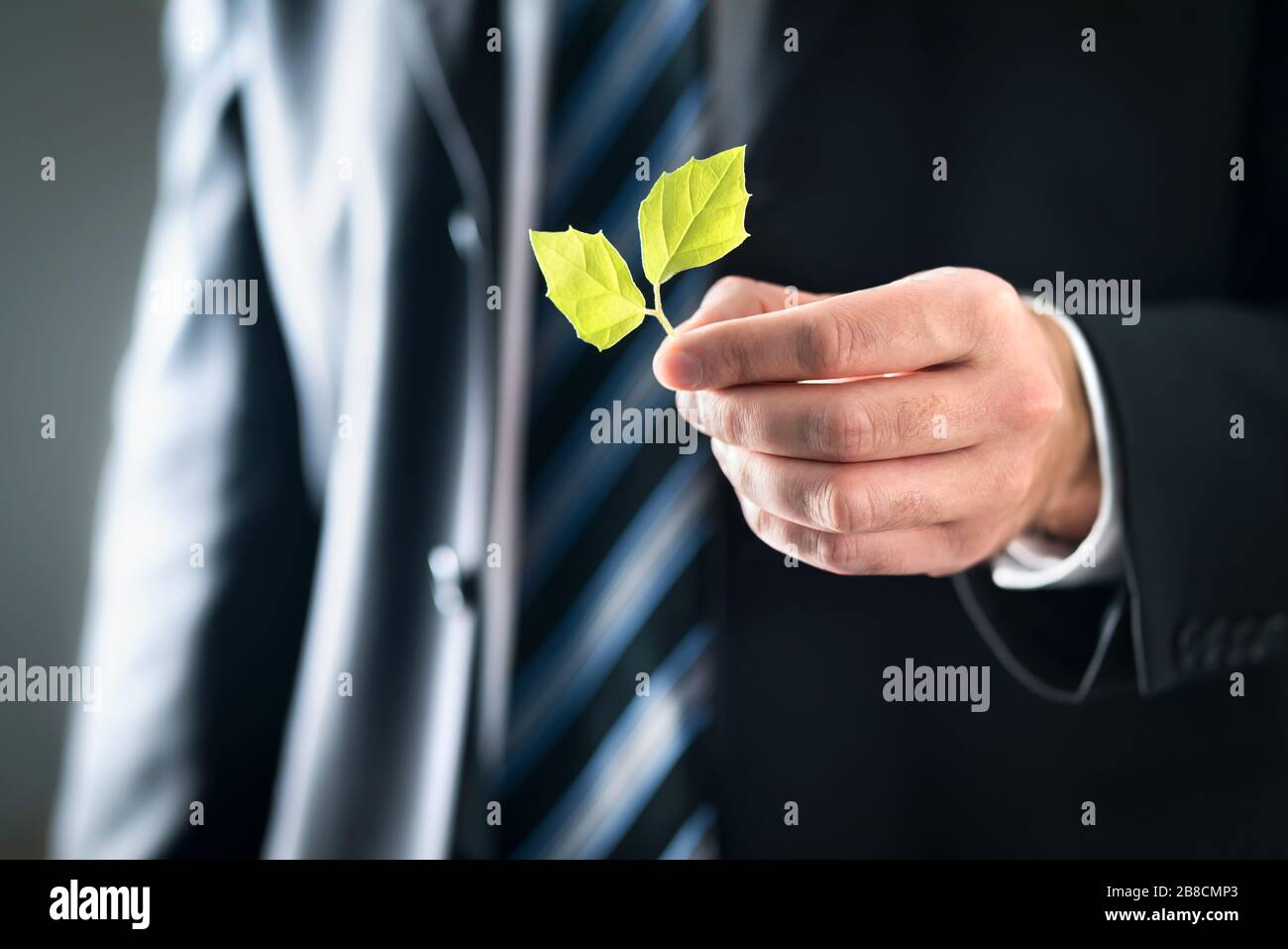 Avvocato o politico ambientale con valori rispettosi della natura e dell'ambiente. Uomo d'affari in tuta che tiene i fogli verdi. Sviluppo sostenibile. Foto Stock