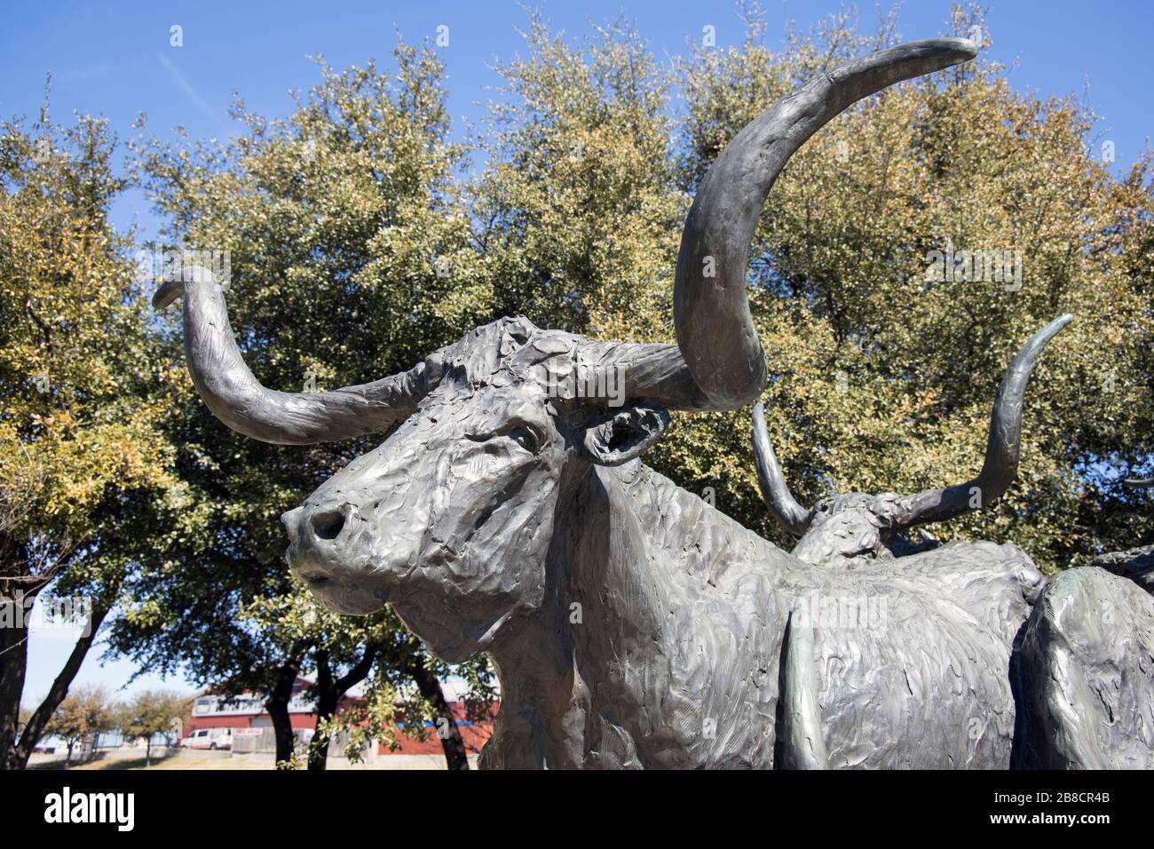 texas longhorn bestiame allevatore associazione scultura presso i magazzini in fort worth texas Foto Stock