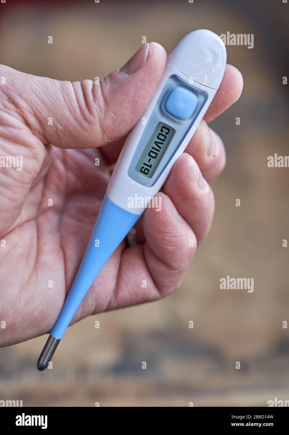 La mano maschile tiene il termometro clinico con testo covid-19 sullo schermo durante il covid-19 globale o la pandemia corona Foto Stock