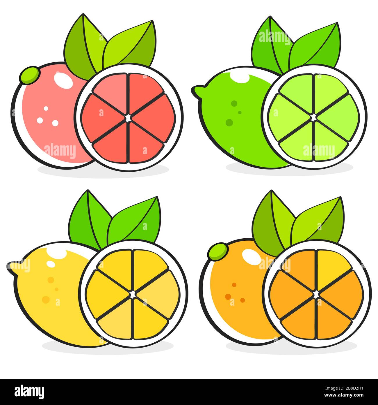 Collezione di fette di agrumi - Arancio, limone, lime e pompelmo, Set di icone, colorato isolato su sfondo bianco, Illustrazione vettoriale. Illustrazione Vettoriale
