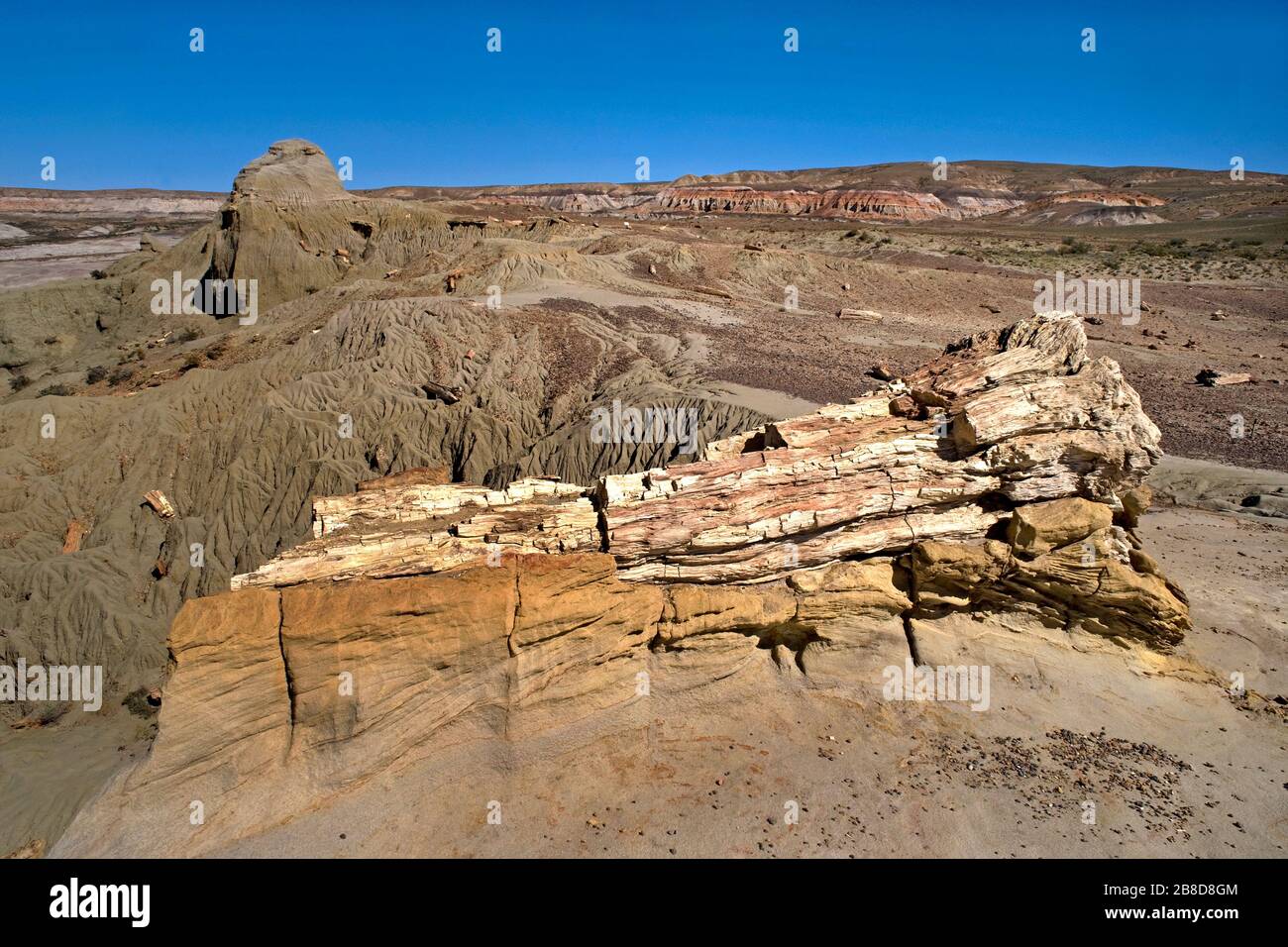 La Foresta pietrificata nei pressi di Sarmiento, Patagonia/Argentina. Tronchi di albero e trucioli di legno sono sparsi tutto intorno Foto Stock