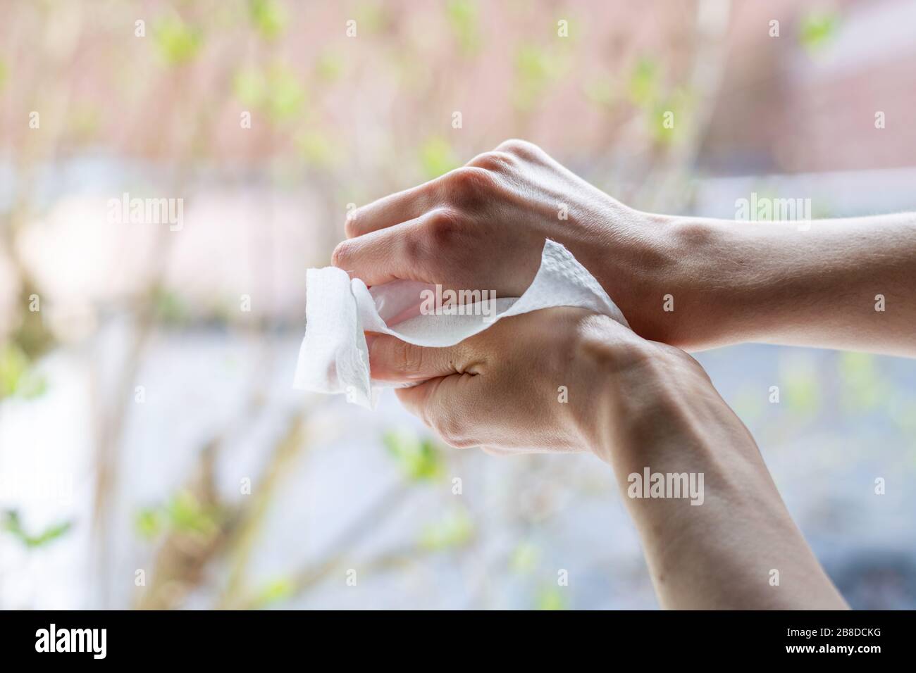 Disinfettare le mani con salviette umidificate disinfettanti da vicino Foto Stock