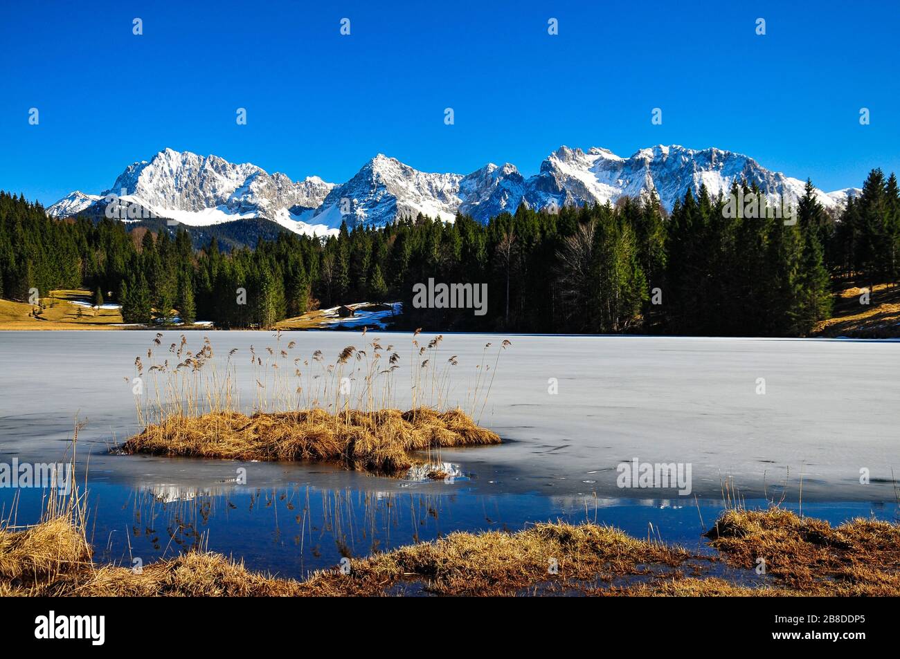 Isola di Reed nel ghiacciato Geroldsee in alta Baviera, sullo sfondo i Monti Karwendel, Baviera, Germania, Europa Foto Stock
