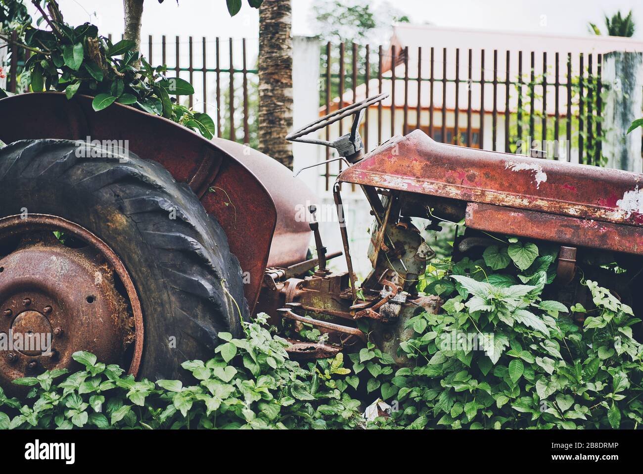 Primo piano di un vecchio trattore abbandonato e arrugginito semi coperto di vegetazione...... Foto Stock