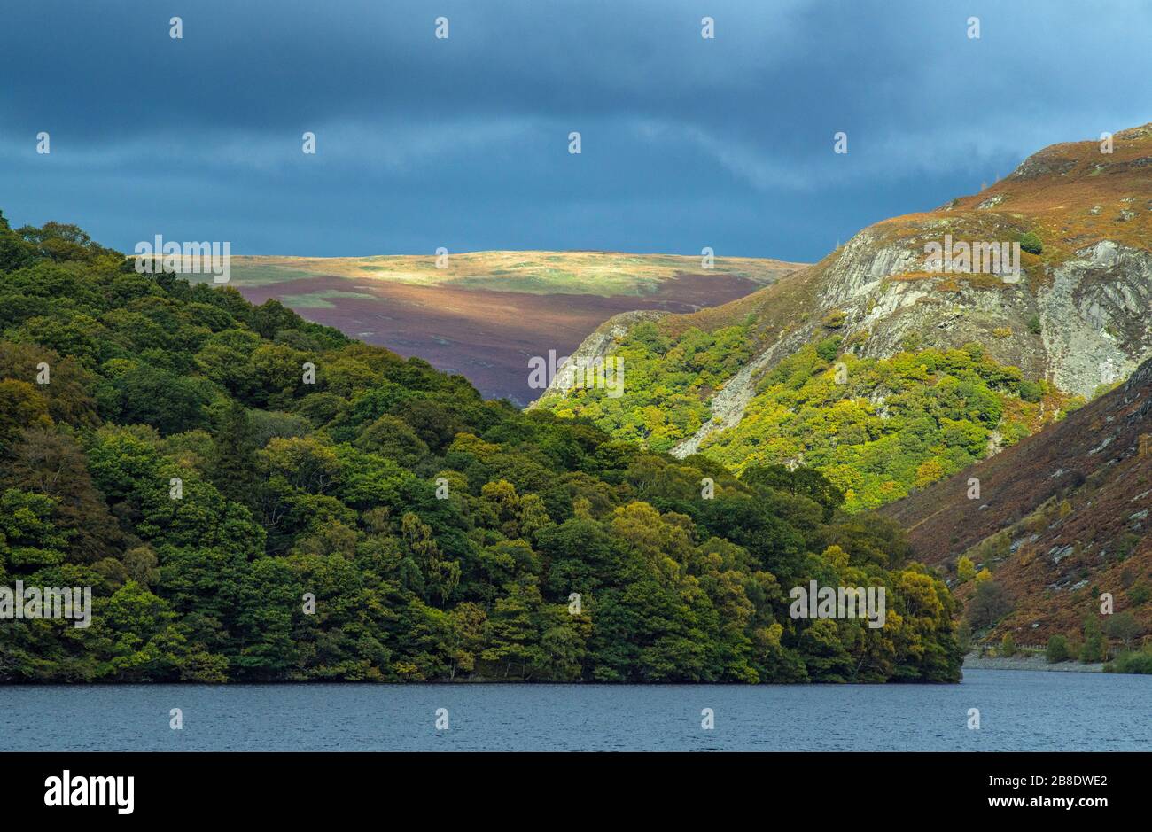 La Elan Valley a Powys, ex Radnorshire, nel Galles centrale nel mese di ottobre. Fotografato con lenti lunghe per comprimere il paesaggio. Una giornata con il tempo misto. Foto Stock