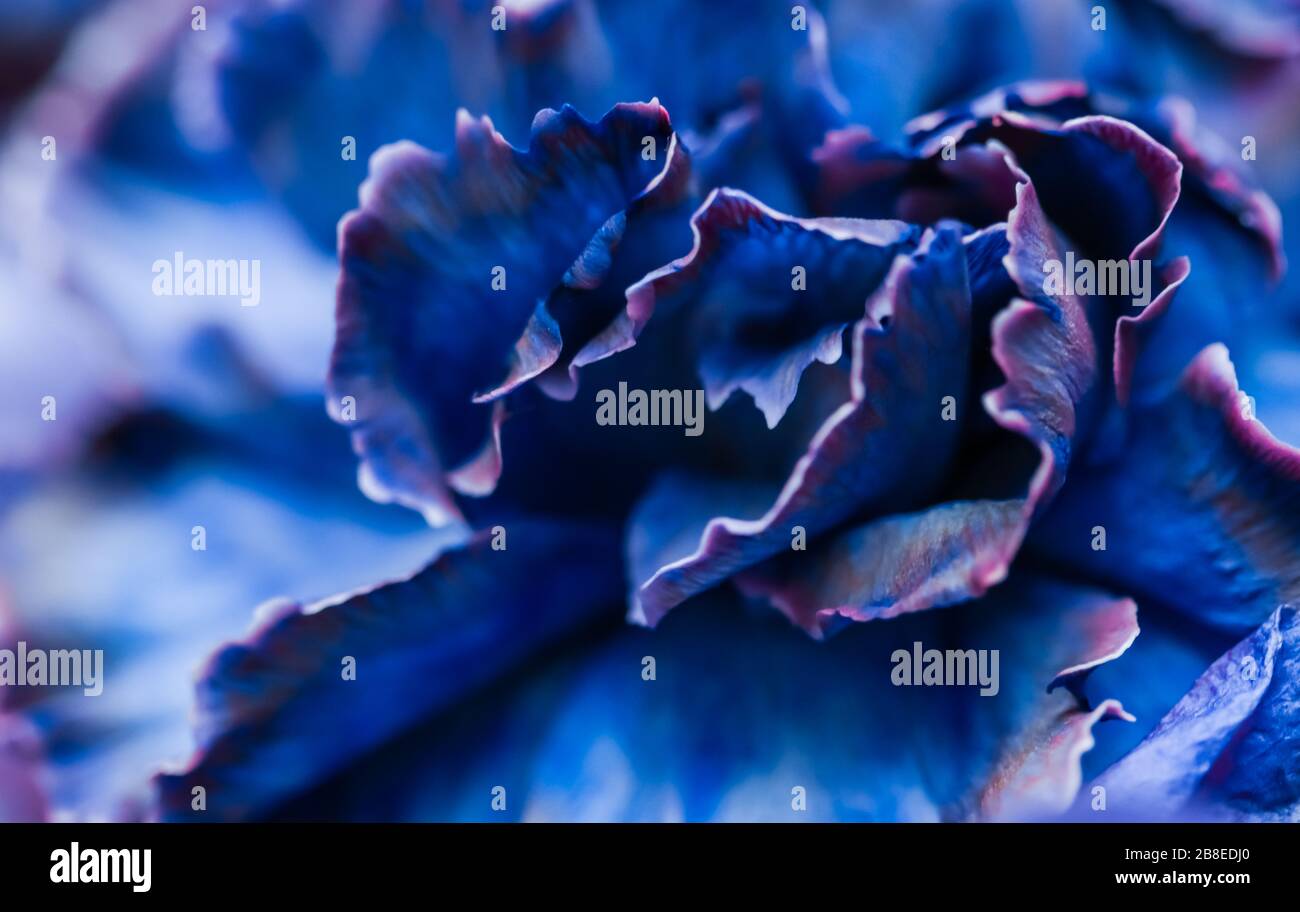 Arte Retro, vintage card e concetto di botanica - Abstract sfondo floreale, blu chiodo di garofano. Macro sfondo fiori per vacanza il brand design Foto Stock