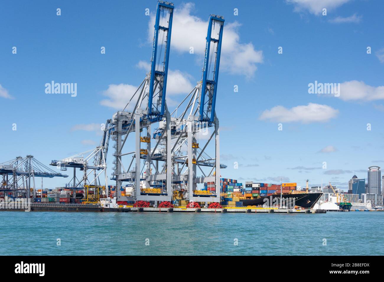 Auckland Waterfront e Porto di Auckland, Waitemata Harbour, Auckland, Nuova Zelanda Foto Stock