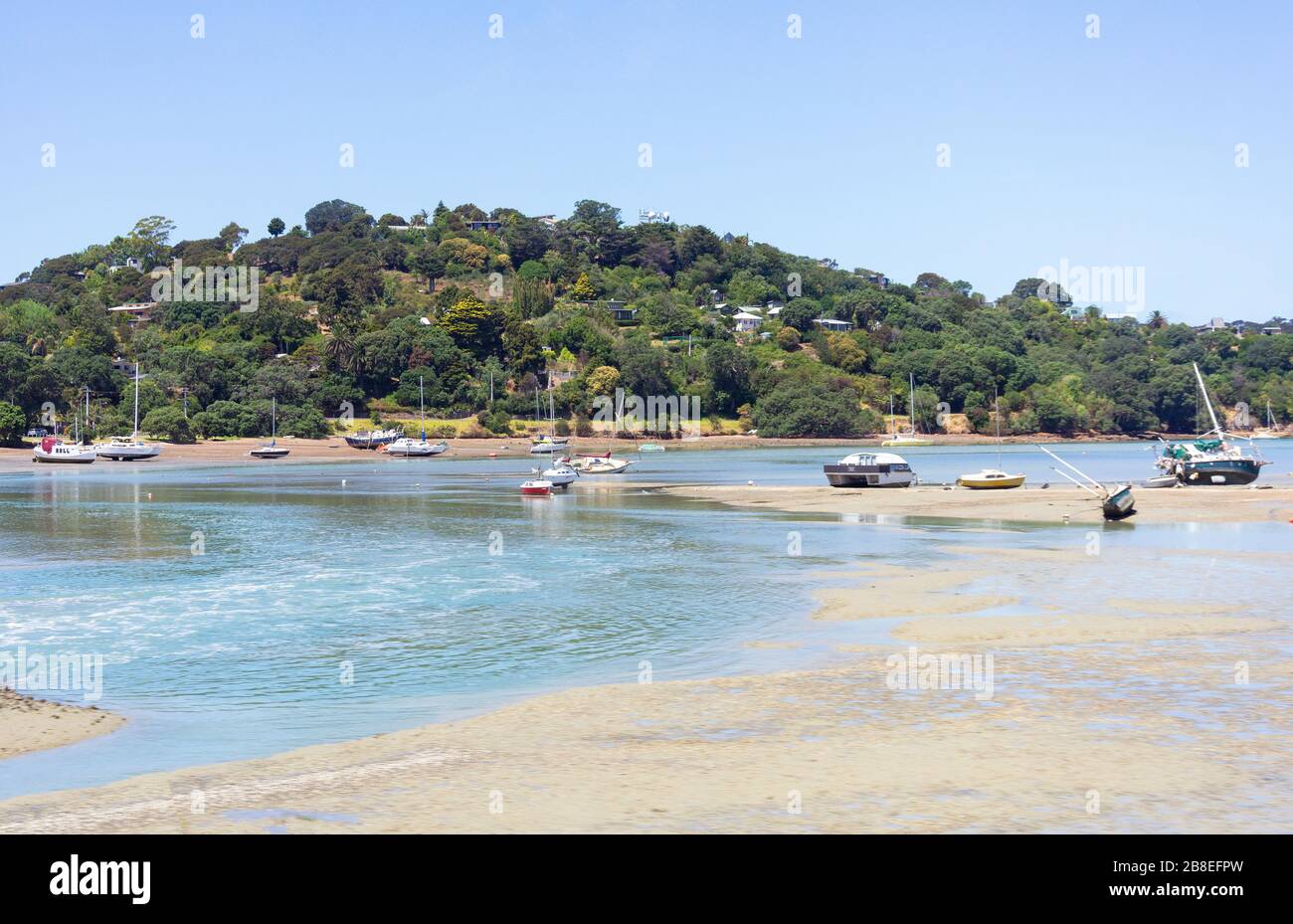 Putiki Bay, Ostenda, Waiheke Island, Hauraki Gulf, Auckland, Nuova Zelanda Foto Stock