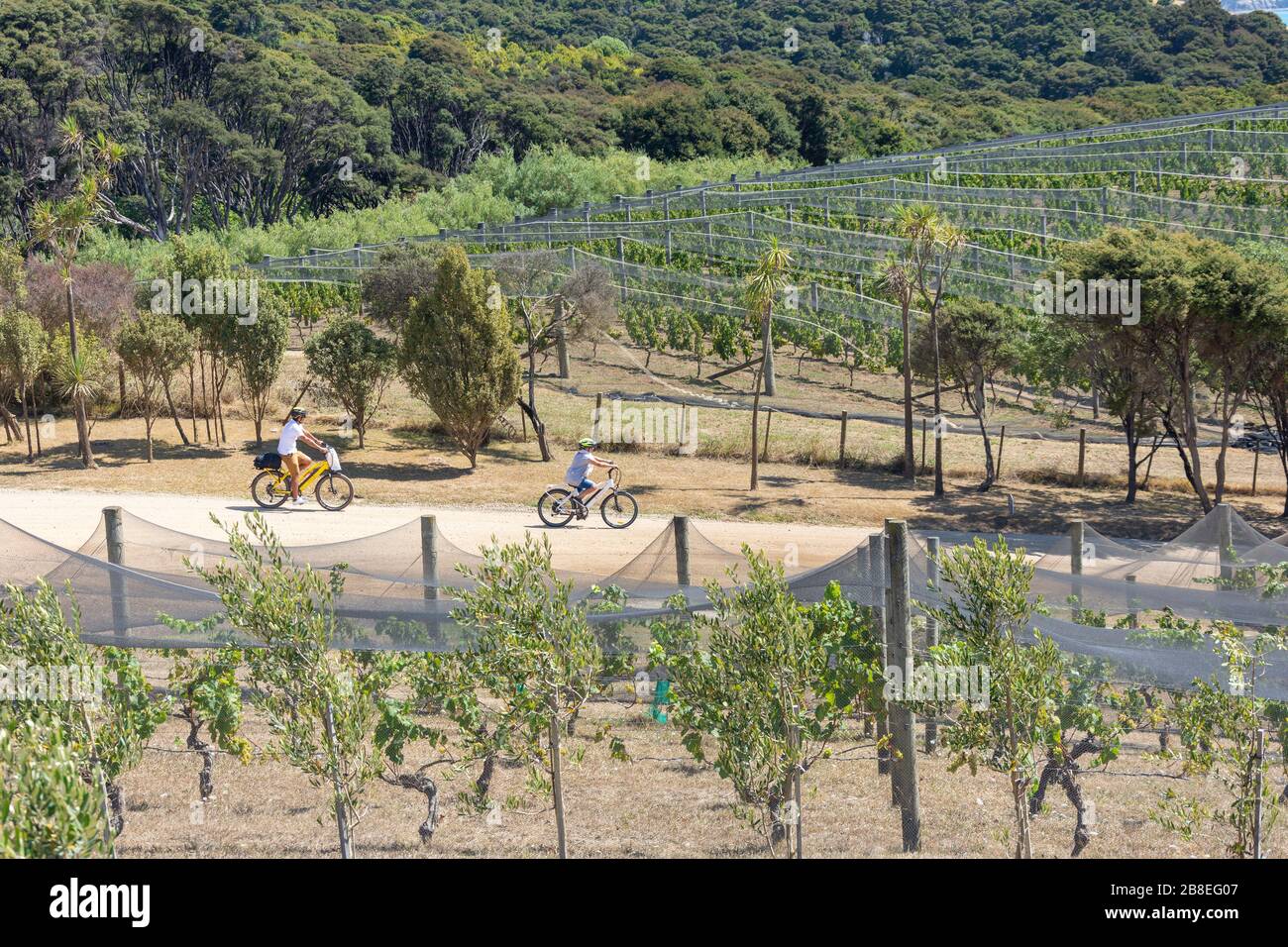 Mudbrick Vineyard & Restaurant, Church Bay Road, Oneroa, Waiheke Island, Hauraki Gulf, Auckland, Nuova Zelanda Foto Stock