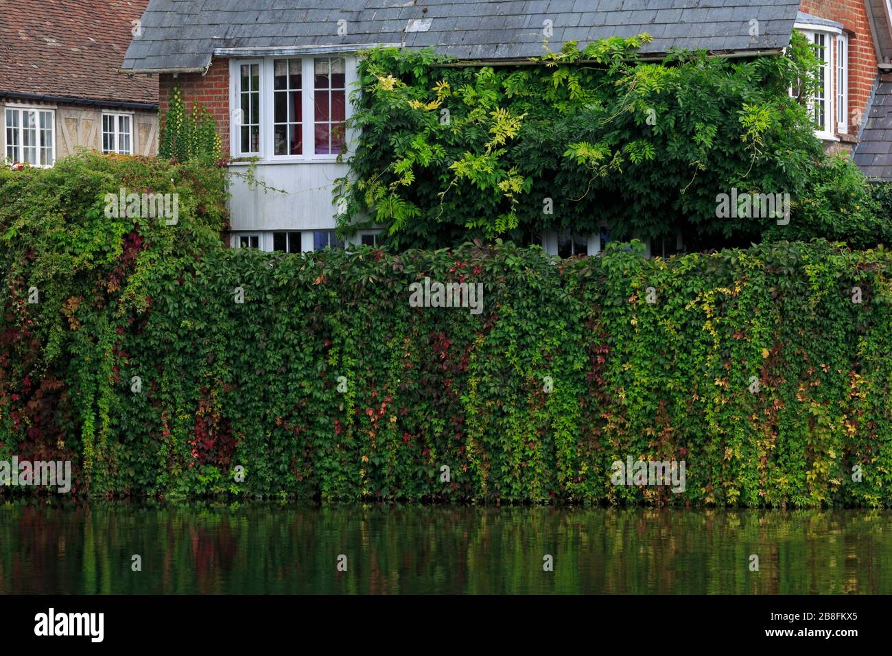 River Avon, Fordingbridge Town, New Forest, Hampshire, Inghilterra, Regno Unito Foto Stock