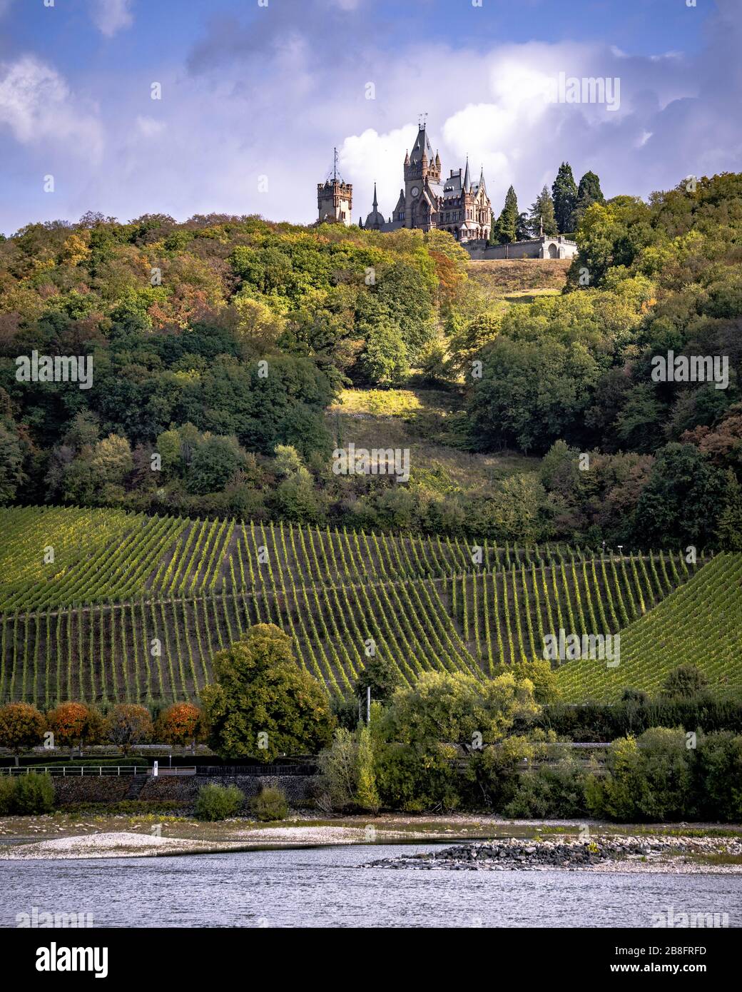 Vista del Castello e vigneto dal fiume Mosella. Foto Stock