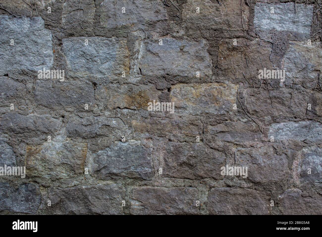 Vecchio muro di pietra naturale con piante e muschio che crescono dallo sfondo crepe Foto Stock
