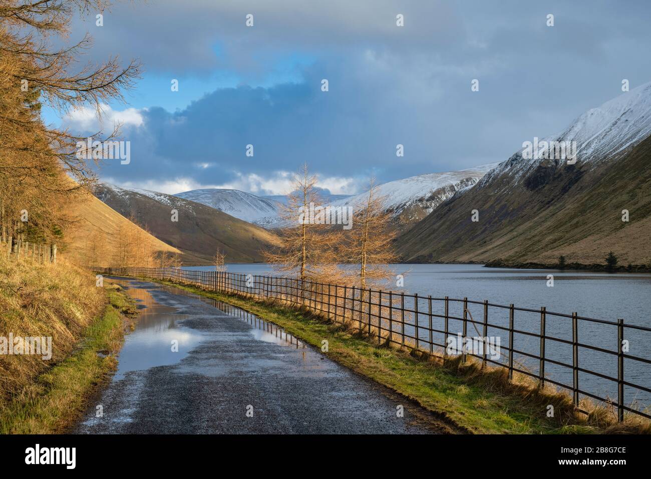 Riserva di Talla nel pomeriggio luce di fine inverno. Confini scozzesi. Scozia Foto Stock