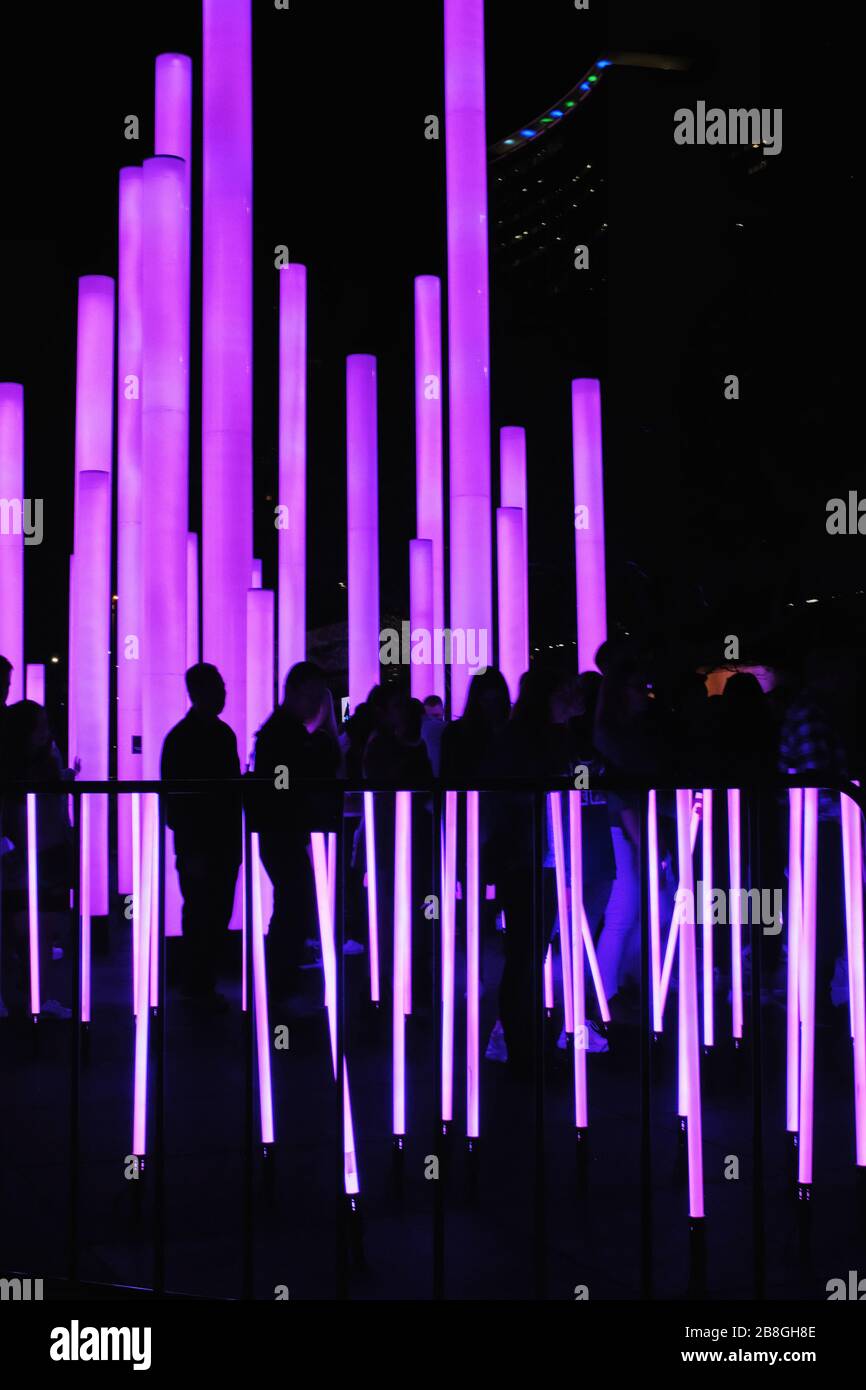 Pali viola, magenta, rosa, installazione Samsung a VIVID Sydney, il popolare evento annuale di sculture di luce e arte creativa illuminata Foto Stock