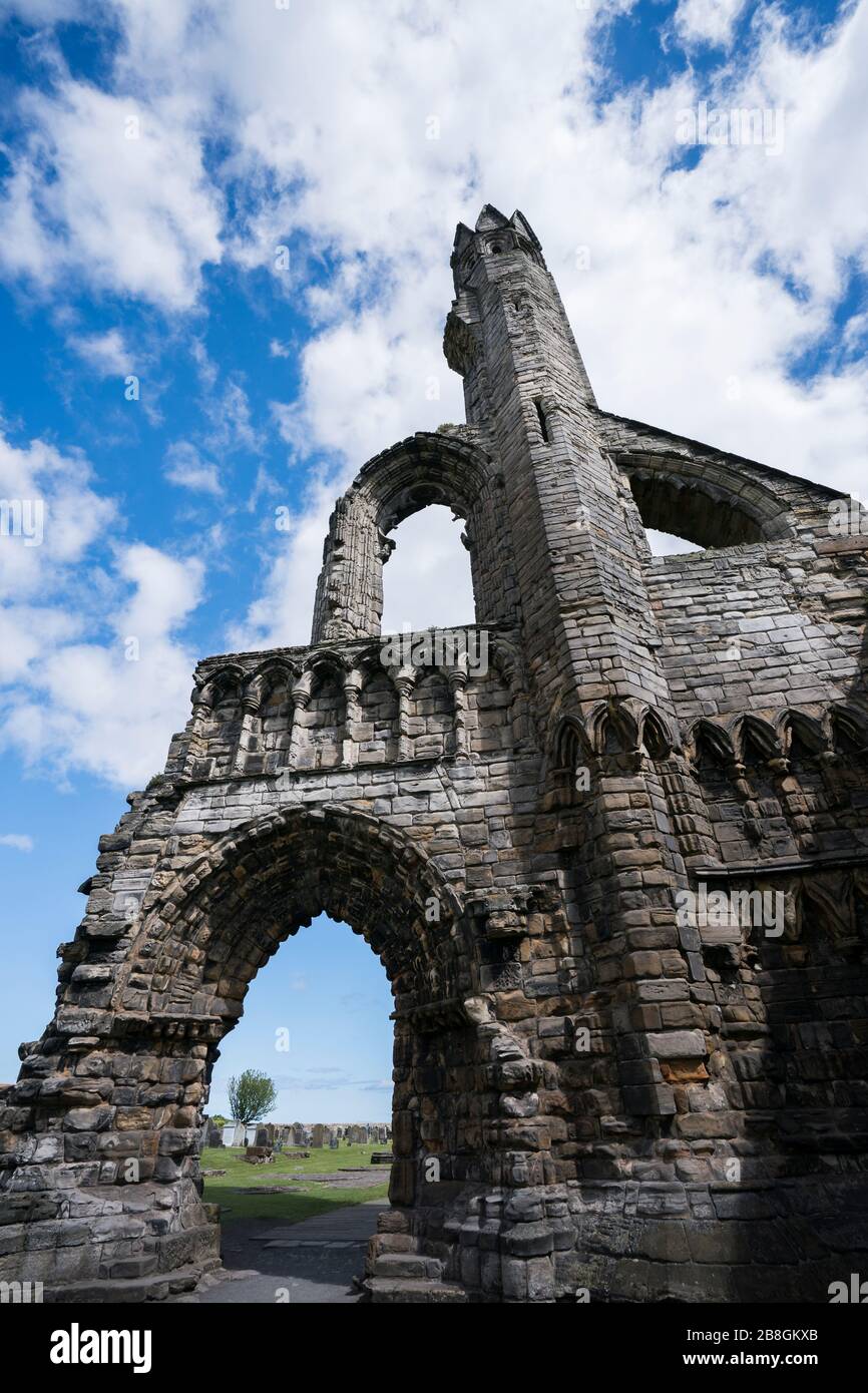 Rovine della cattedrale di St. Andrews in una giornata estiva, St. Andrews, Scozia, costa di Fife, Regno Unito Foto Stock