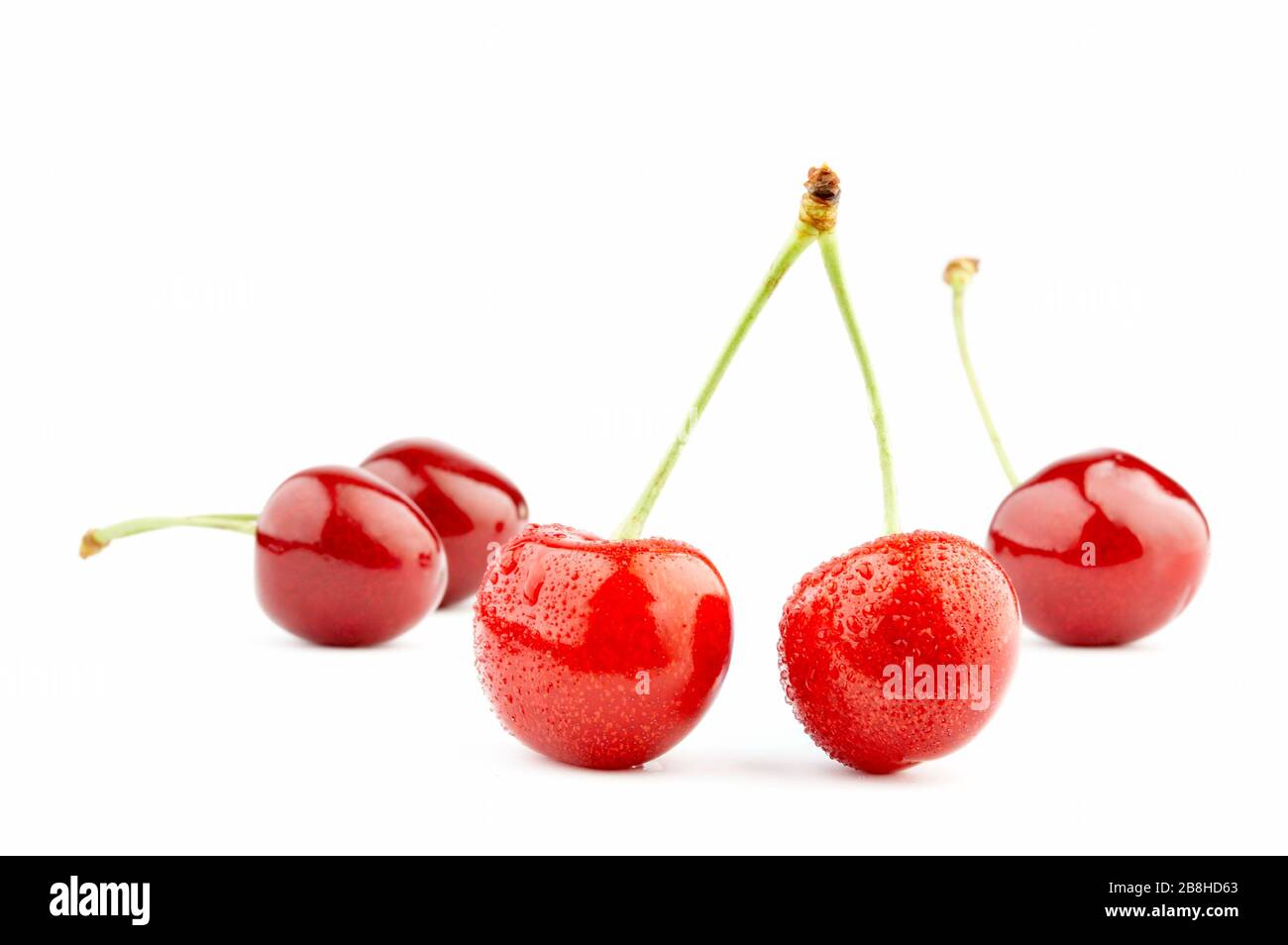 Dolce Ciliegio isolato su sfondo bianco con gocce d'acqua e ombra morbida. Alta qualità XXL ...più frutti di bosco, frutta e verdura al mio portafoglio... Foto Stock