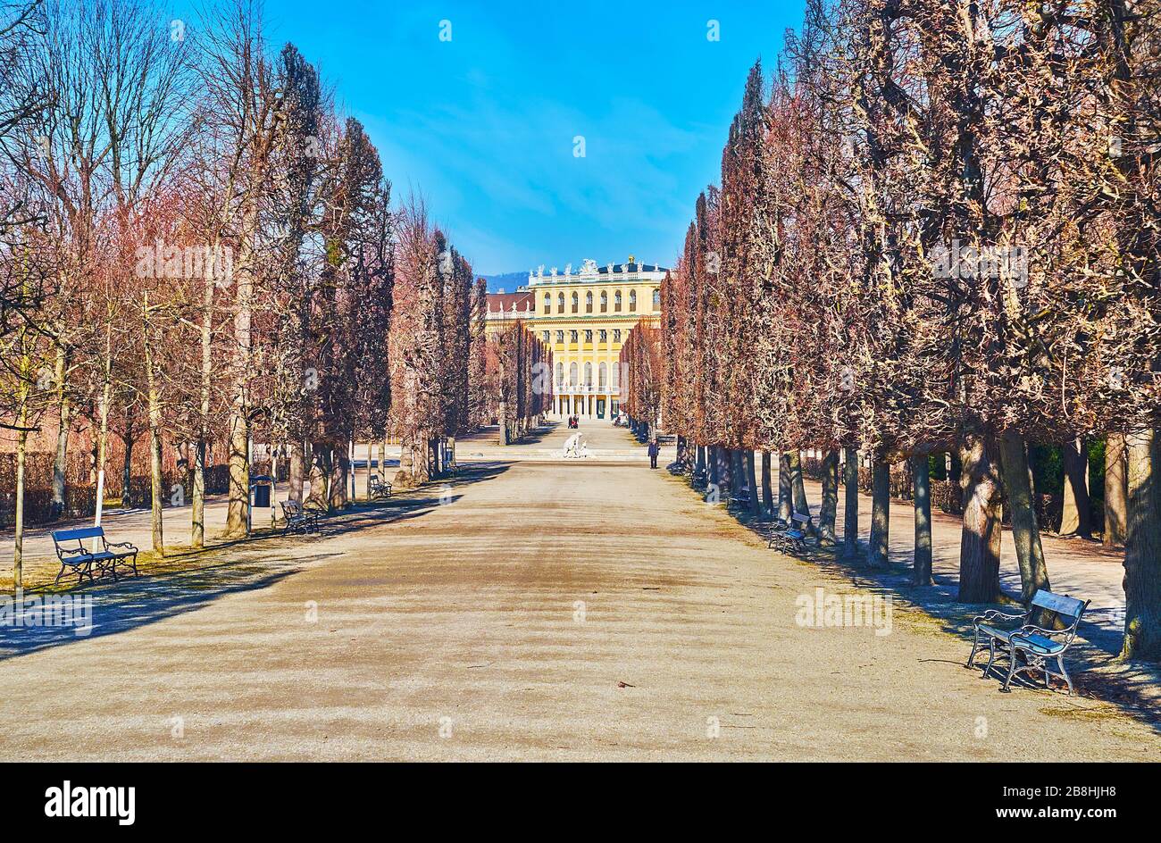 VIENNA, AUSTRIA - 19 FEBBRAIO 2019: Passeggiata nel vicolo di Meidlinger Lindenwaldchen (Linden boschetti di Meidlinger) giardino di Schonbrunn con una vista sulla cima Foto Stock