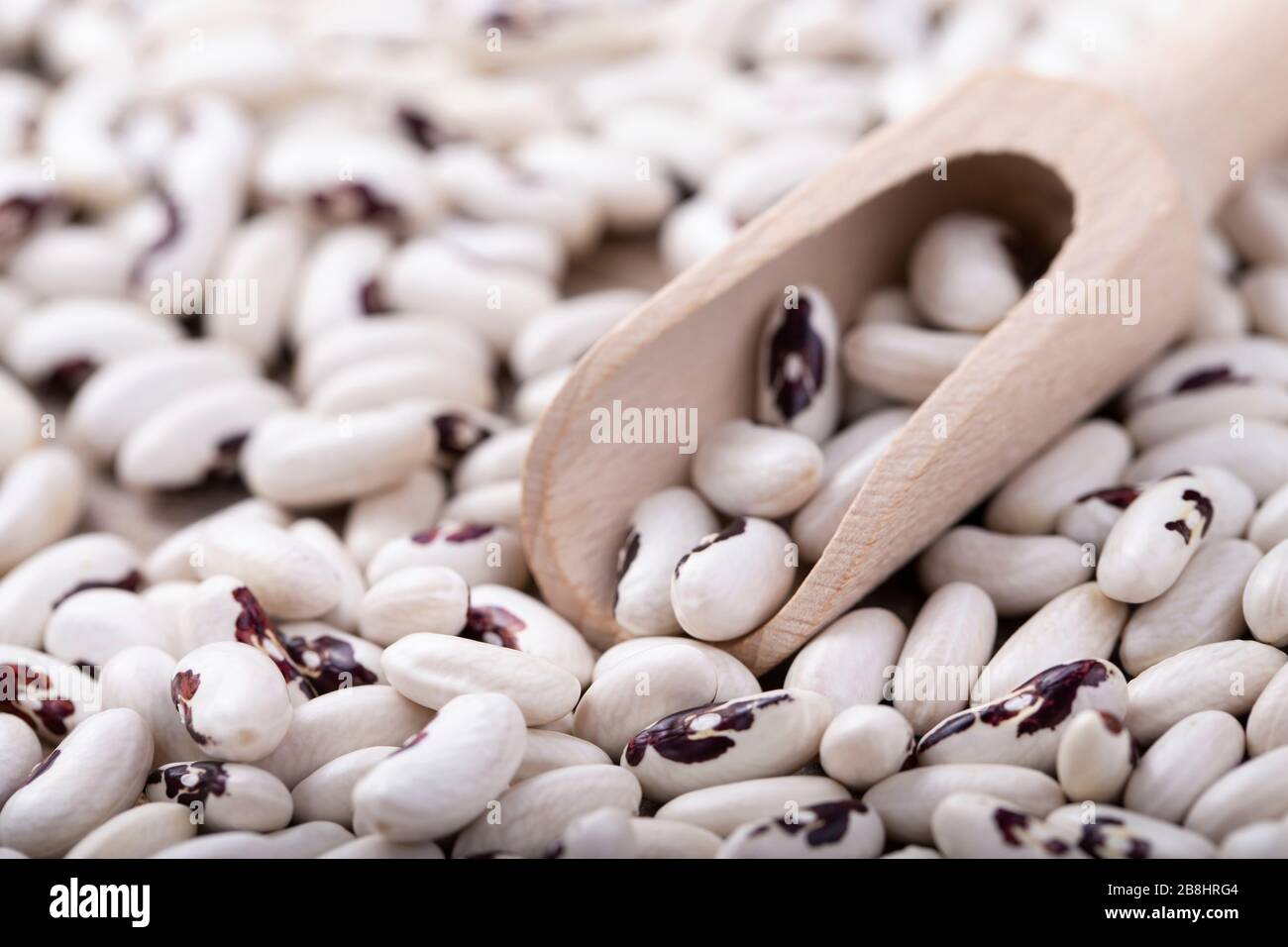 Fagiolo con occhiale nero in paletta. Cibo sano. Foto Stock