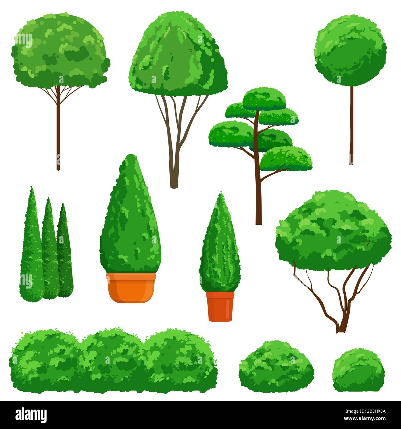 Arbusti ornamentali e alberi su sfondo bianco Illustrazione Vettoriale