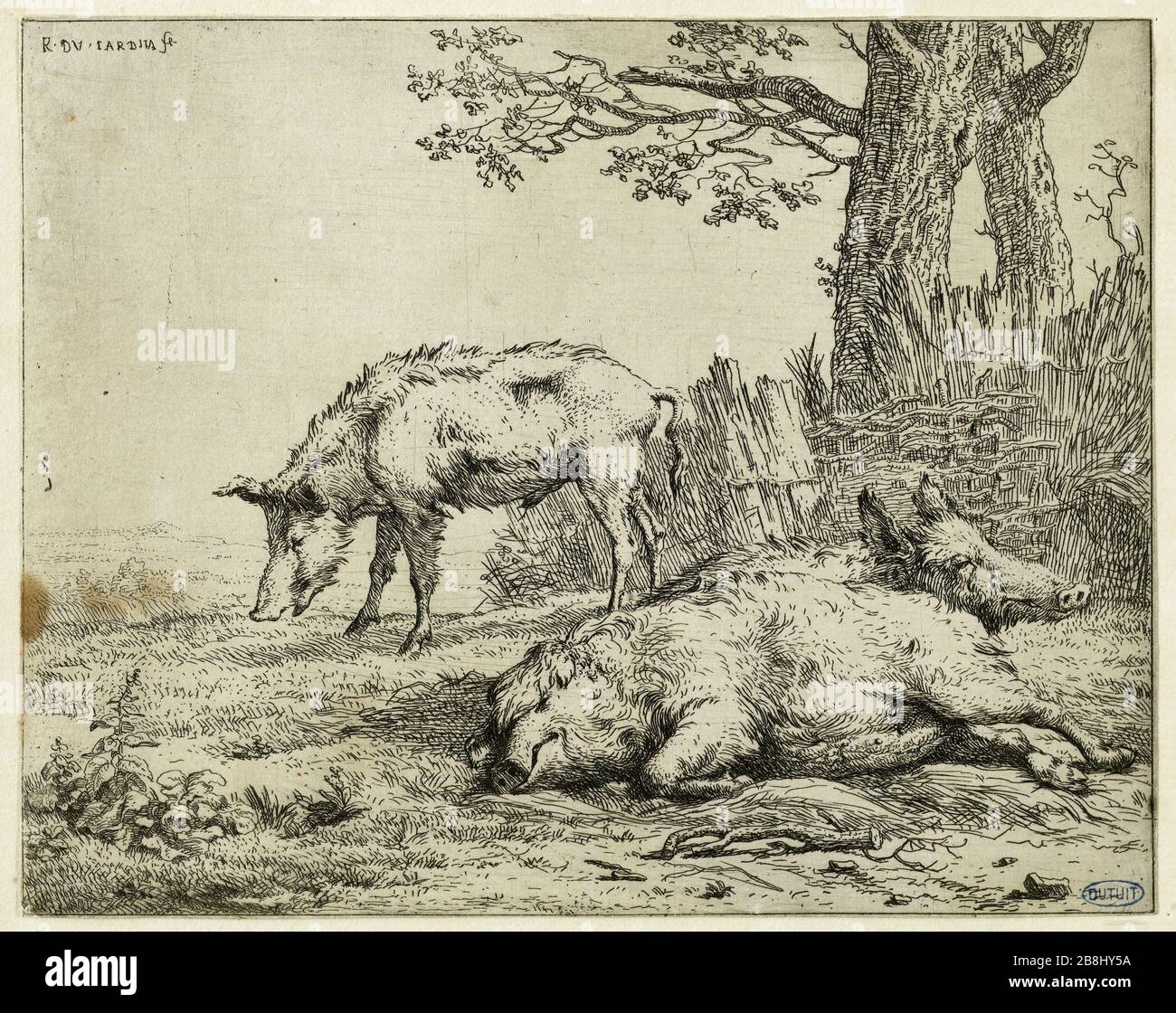 Tre maiali vicino alla siepe (Dutuit 16) Karel Dujardin (1622-78). Les Trois cochons près de la haie (Dutuit 16). Eau-forte, 1652-1660. Musée des Beaux-Arts de la Ville de Paris, Petit Palais. Foto Stock