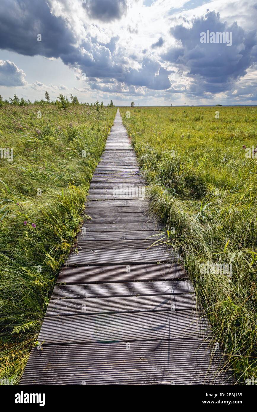 Percorso didattico Dluga Luka - Long Gap, passerella in legno attraverso Lawki Fen verso una piattaforma di osservazione nel Parco Nazionale di Biebrza, Polonia Foto Stock