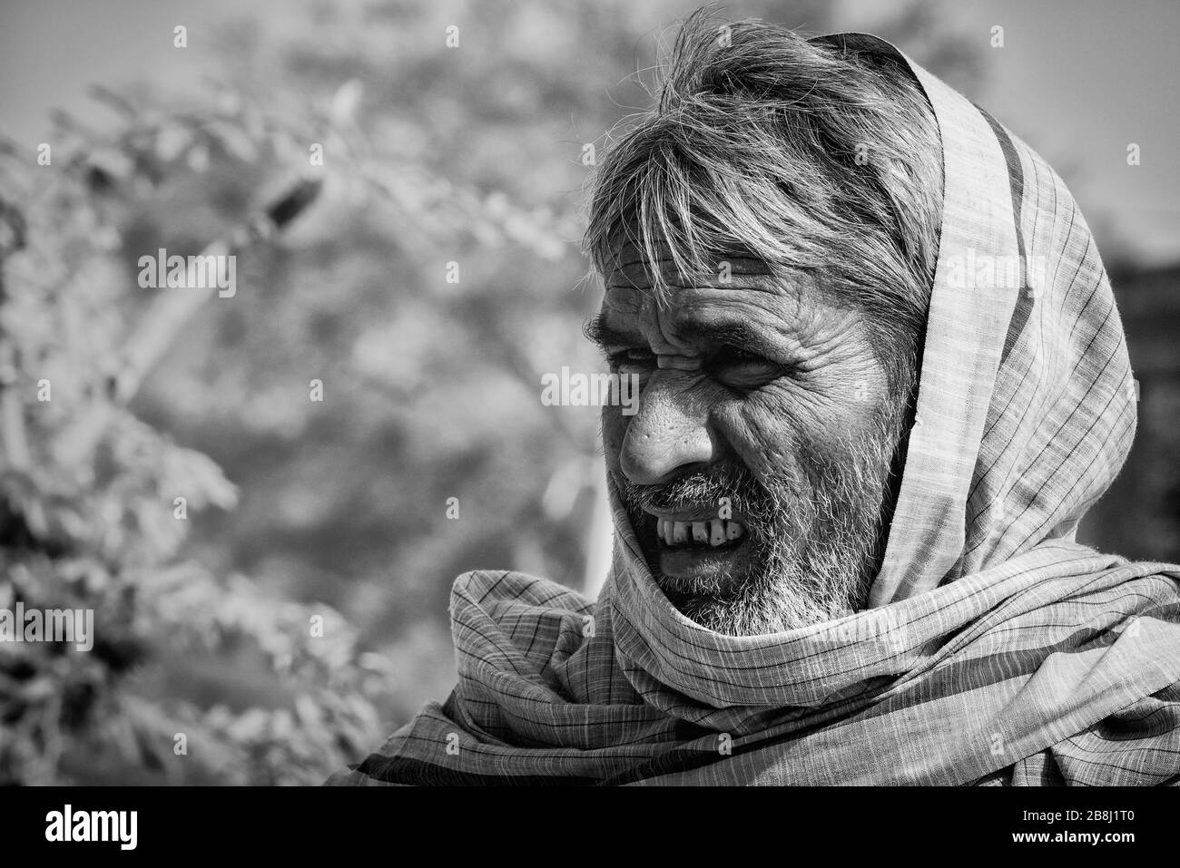 Uomo indiano, Jaipur, Rajasthan, India Foto Stock