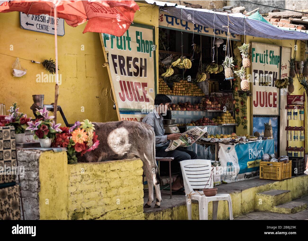 Negozio di frutta a Khajurao, Madhya Pradesh, India Foto Stock