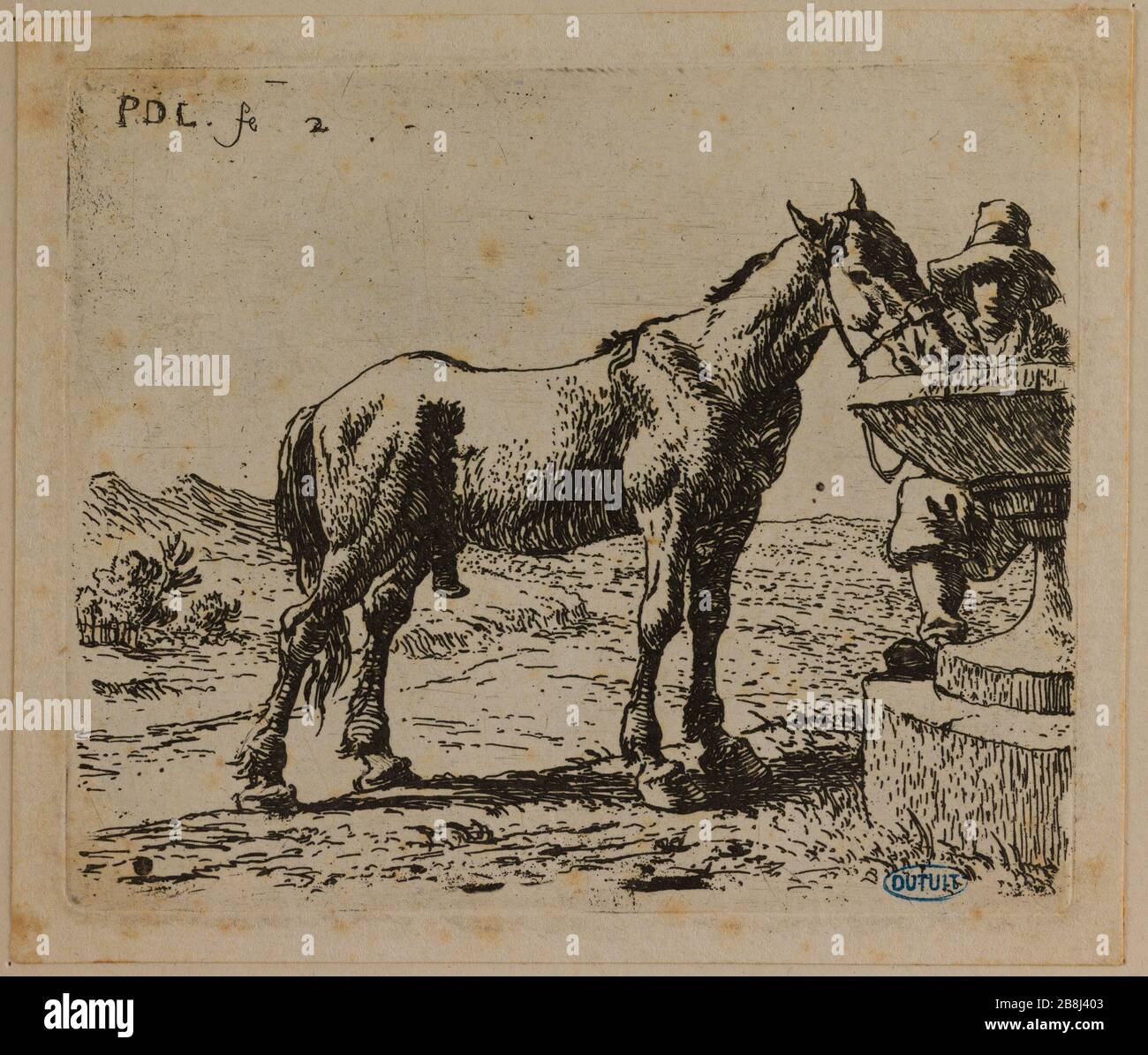 Il cavallo da bere (Bartsch 10) Van Laar, Pieter Jacobsz. "Le cheval buvant (Bartsch 10)". Eau-forte. Musée des Beaux-Arts de la Ville de Paris, Petit Palais. Foto Stock