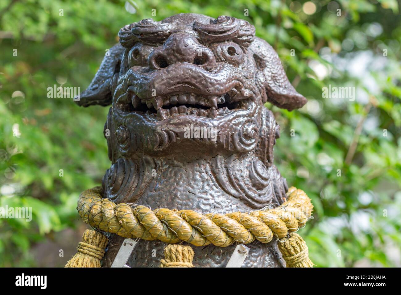 Il cane-leone, o komainu, al Saiichi shinto Shrine, Kanazawa, Giappone. Queste statue tradizionali scongiurano gli spiriti malvagi. Intorno è il sacro shimenawa ro Foto Stock