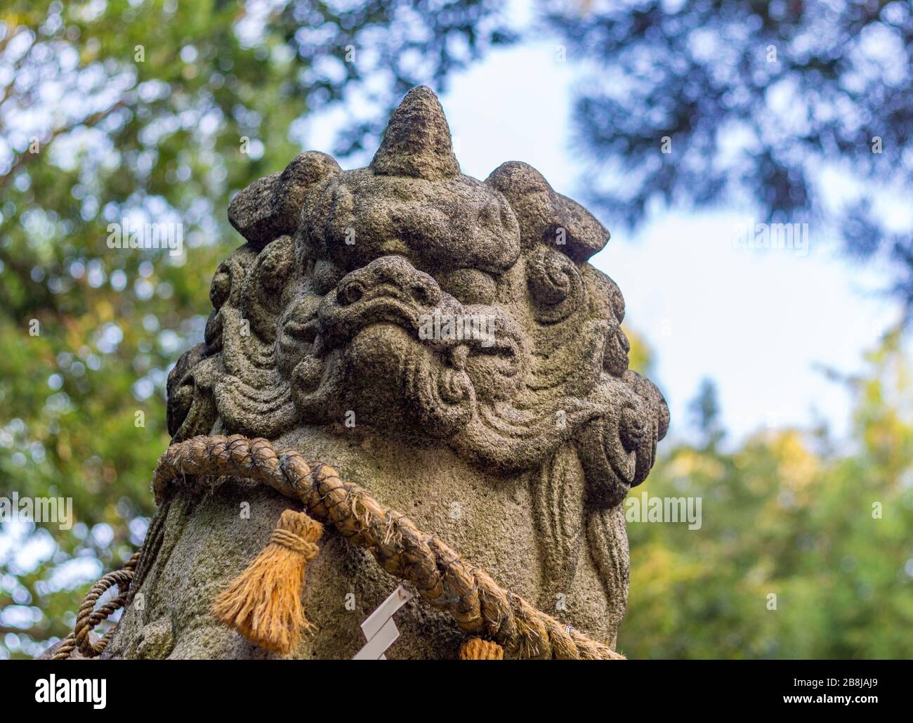 Il cane-leone, o komainu, al Saiichi shinto Shrine, Kanazawa, Giappone. Queste statue tradizionali scongiurano gli spiriti malvagi. Intorno è il sacro shimenawa ro Foto Stock
