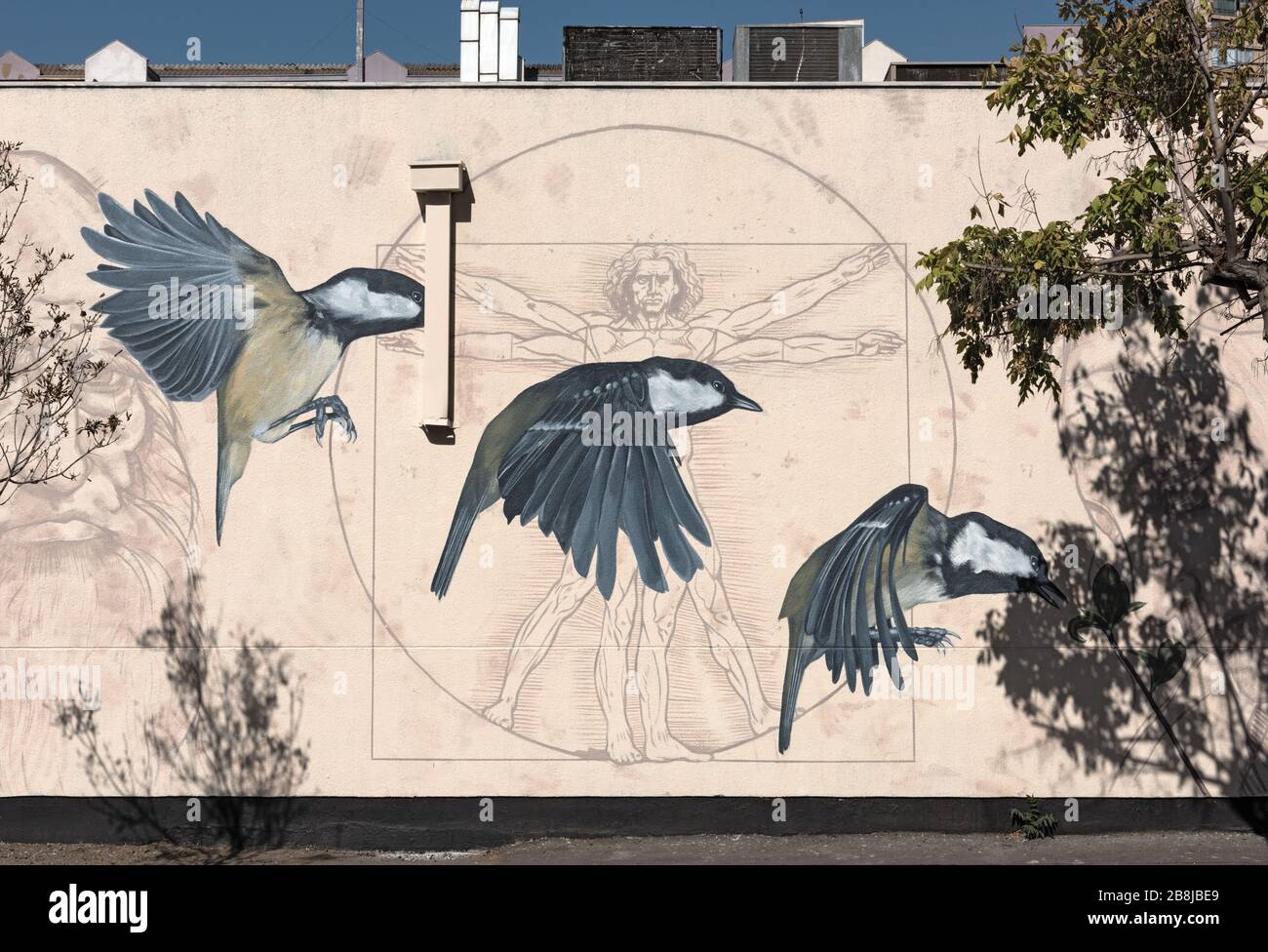 Murale dell'arte di strada, graffiti nella capitale del Cile, Santiago Foto Stock