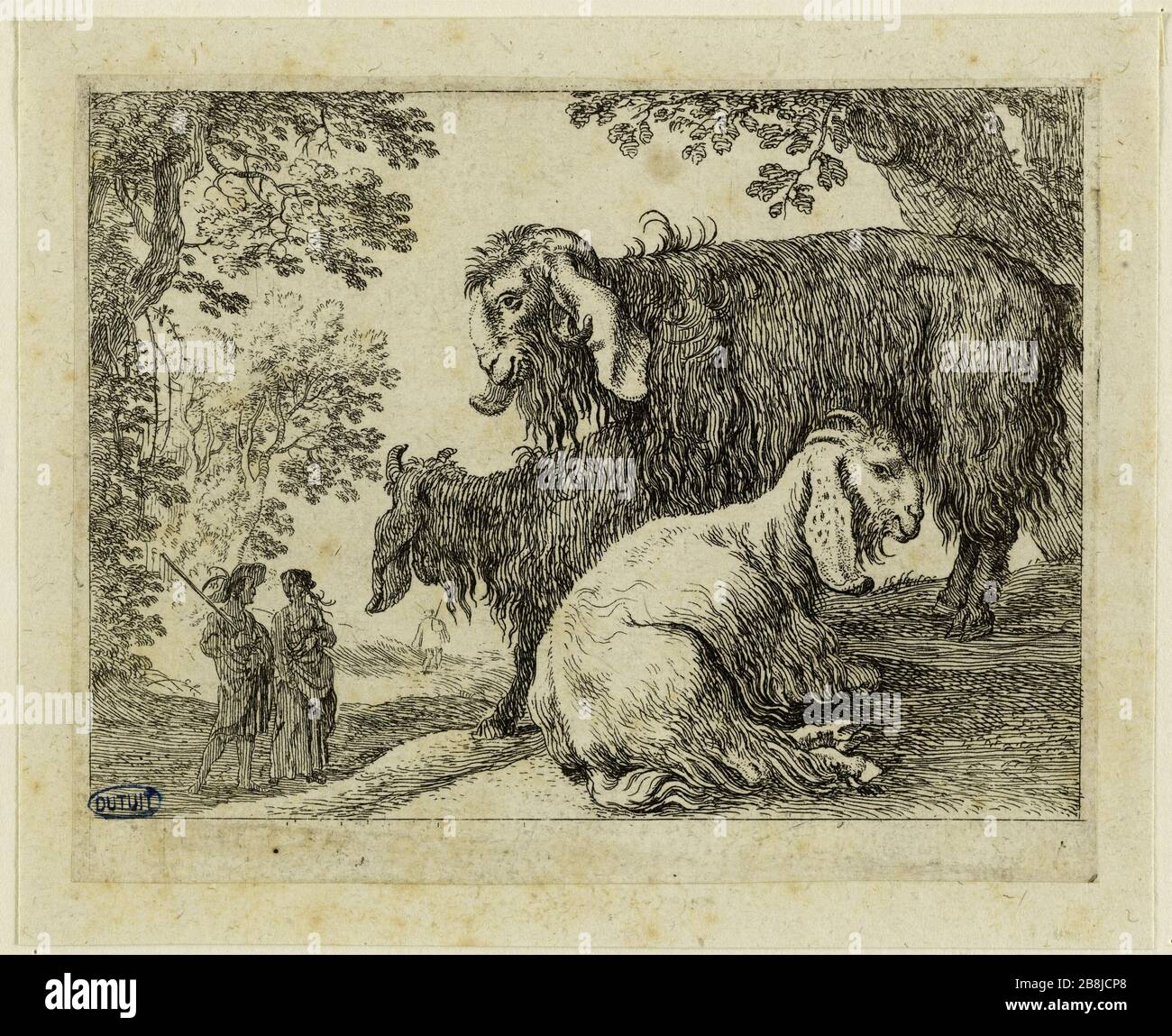 Capre Angora (Bartsch 31) Swanevelt, Herman. "Les chèvres d'Angora (Bartsch 31)". Eau-forte. 17e siècle. Musée des Beaux-Arts de la Ville de Paris, Petit Palais. Foto Stock