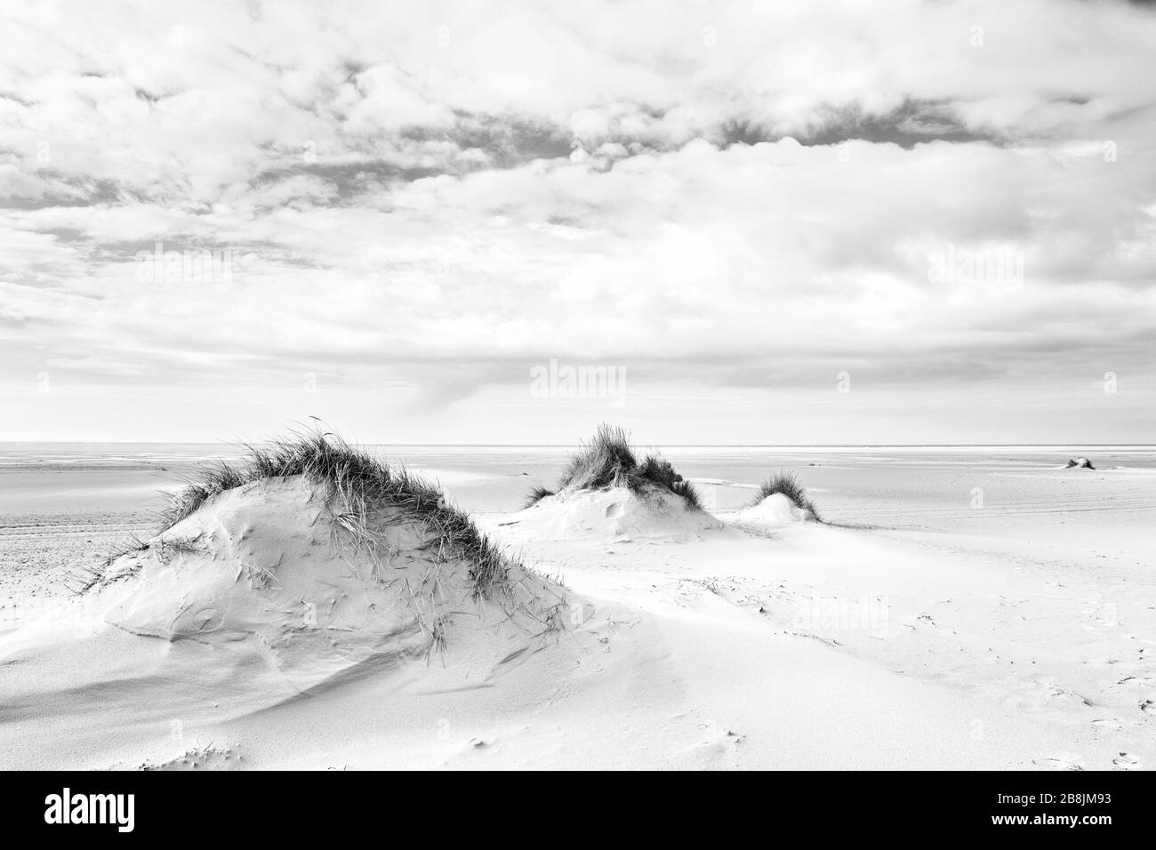 Cielo nuvoloso su dune e spiaggia sul Mare del Nord, lavorazione del bianco e nero Foto Stock