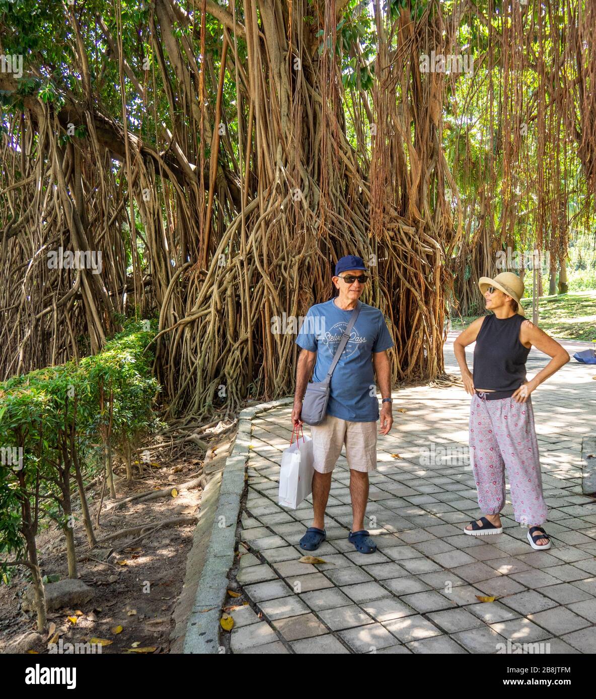 Due turisti che si trovano accanto alle radici aeree di un albero baniano nel KLCC Park Kuala Lumpur Malesia. Foto Stock