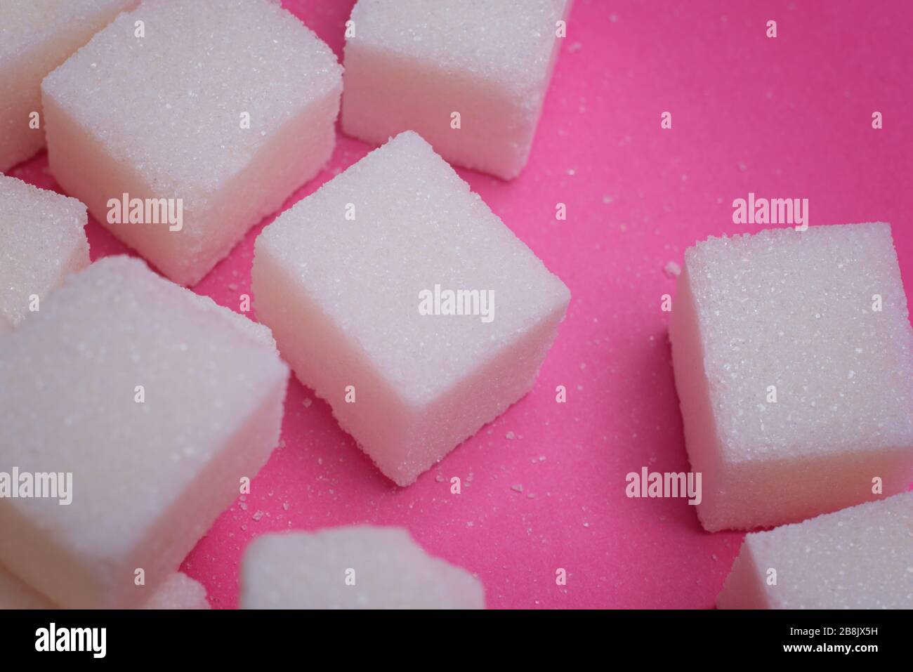 Cubetti di zucchero su uno sfondo rosa brillante. Foto macro. Foto Stock