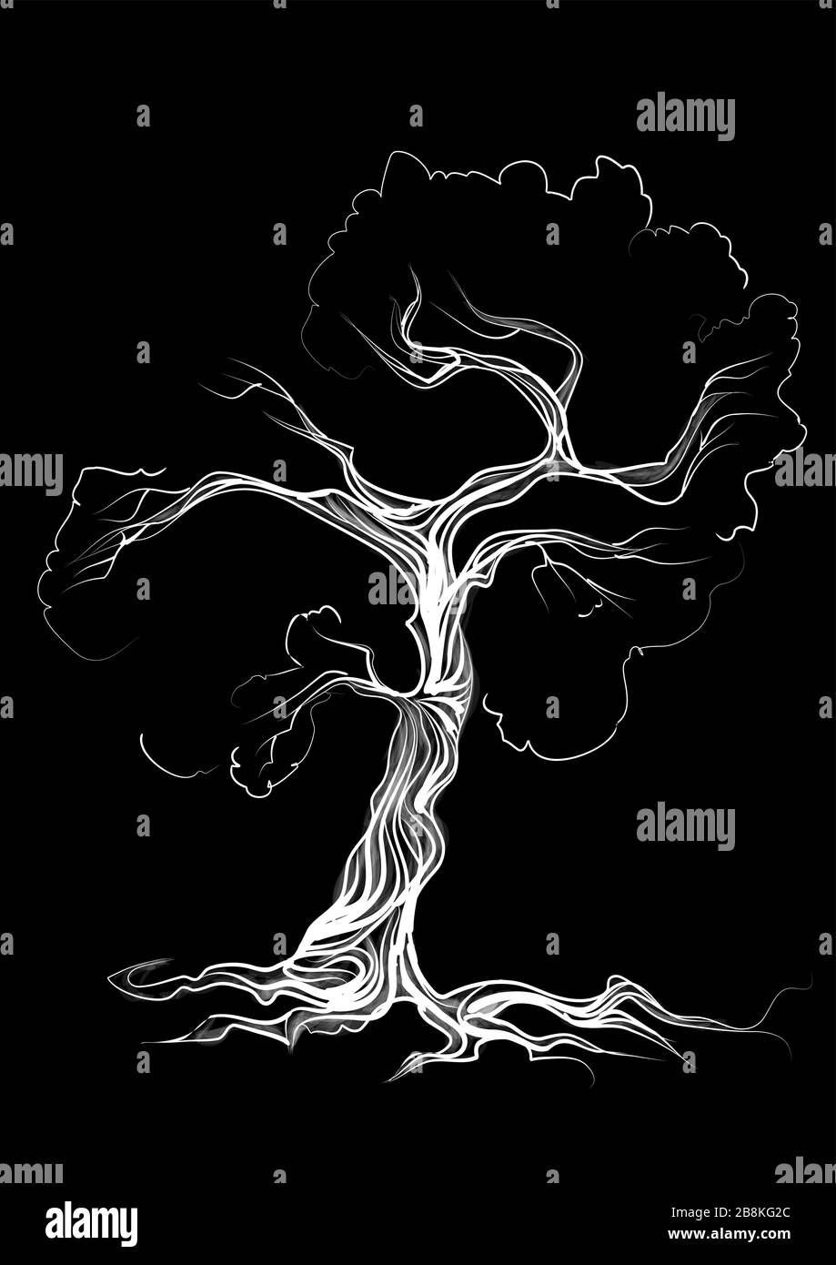 albero bianco isolato su sfondo nero Illustrazione Vettoriale