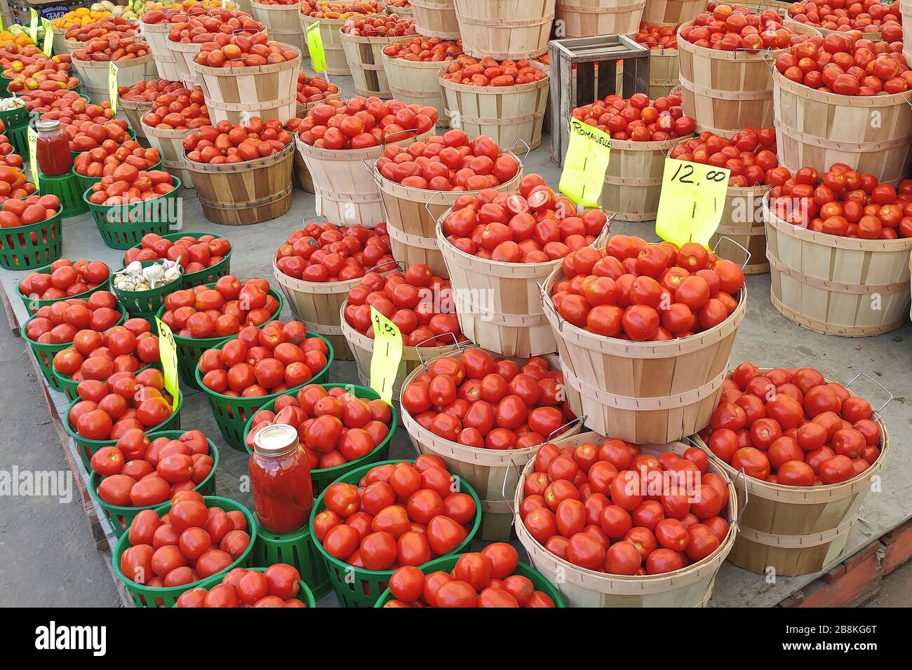 Tomatos in vendita nel mercato Jean Talon a Montreal, Canada Foto Stock