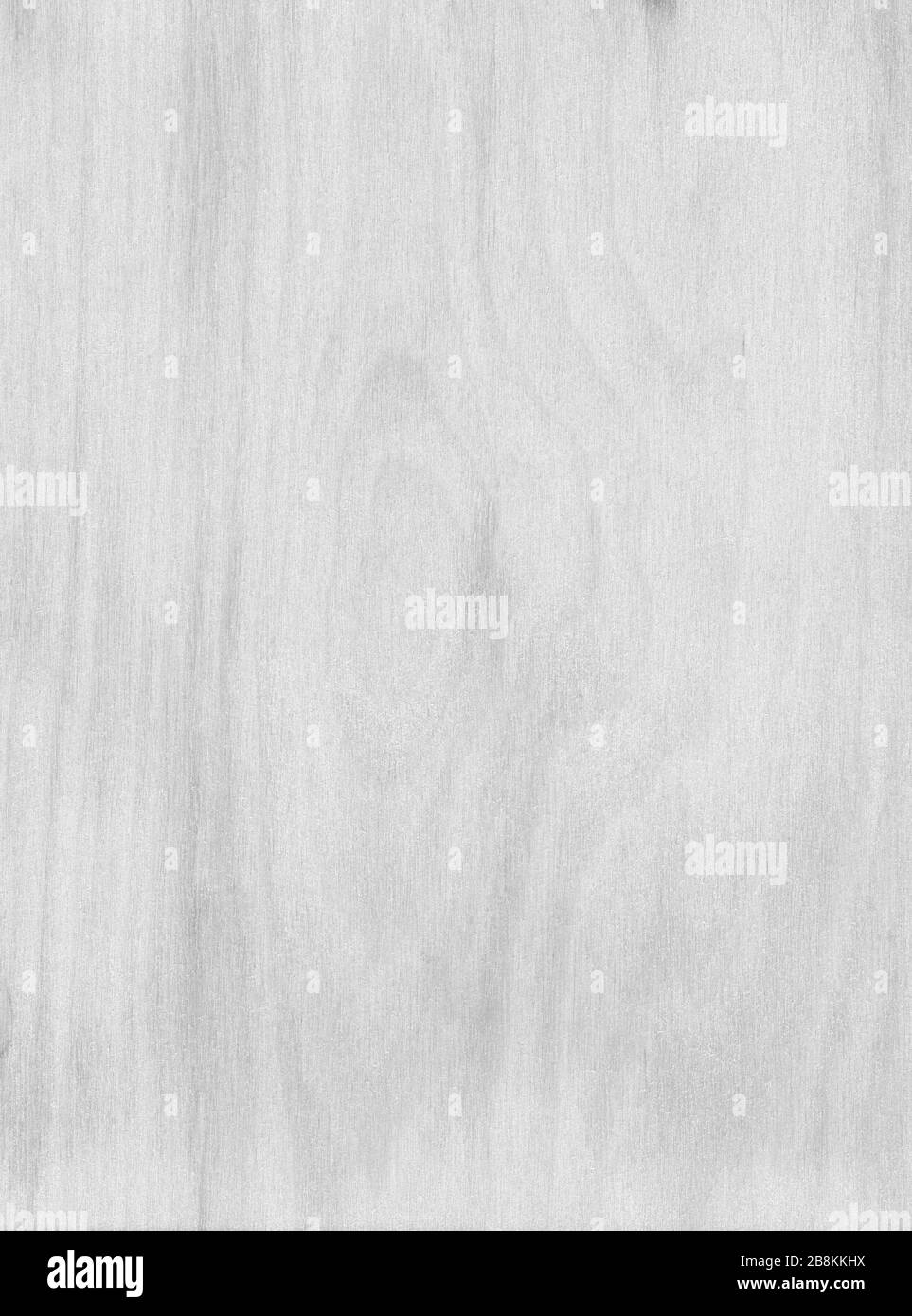Astratto sfondo in legno monocromatico. Struttura in legno verniciato bianco e nero in stile grunge. Primo piano, vista dall'alto, materiale naturale di colore grigio. Foto Stock