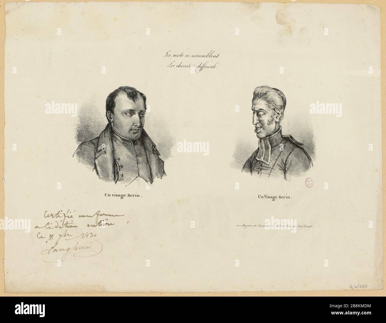 Le parole sono simili / le cose sono diverse (IT) Foto Stock