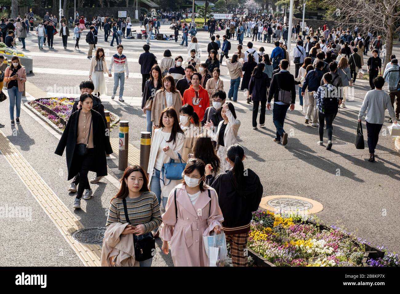 La gente che gode il partito della fioritura dei ciliegi durante la pandemic.anche se il governo aveva suggerito nessun raduno per la fioritura dei ciliegi quest'anno dovuto Coronavirus (COVID-19) preoccupazioni che stanno crescendo in Giappone, la gente ha goduto le parti come al solito, alcuni con maschere del viso sopra ed alcuni no. Foto Stock