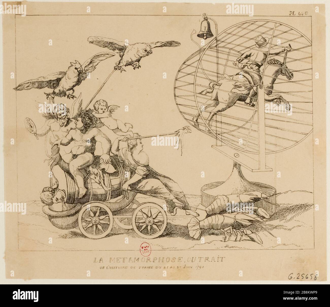 Metamorfosi [...] (TI) Foto Stock
